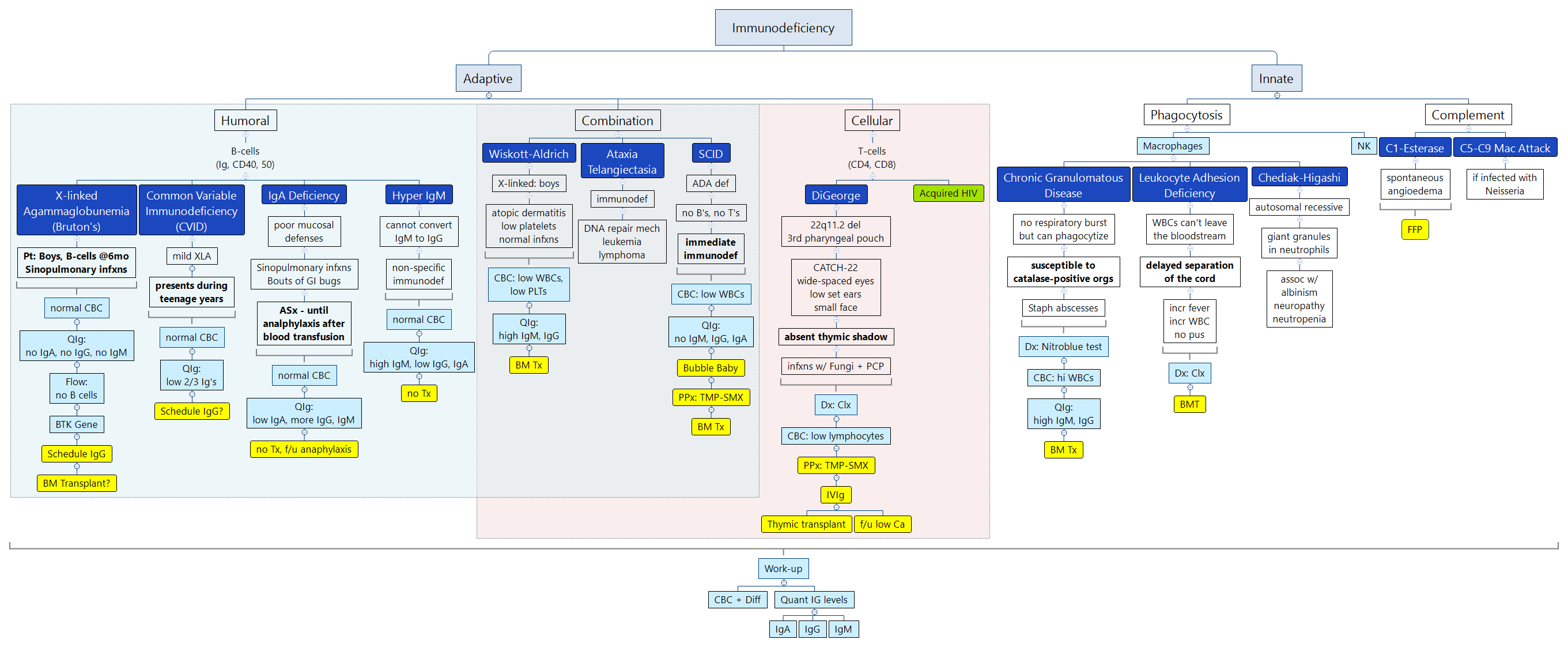 Pediatric Immunodeficiency preview 1