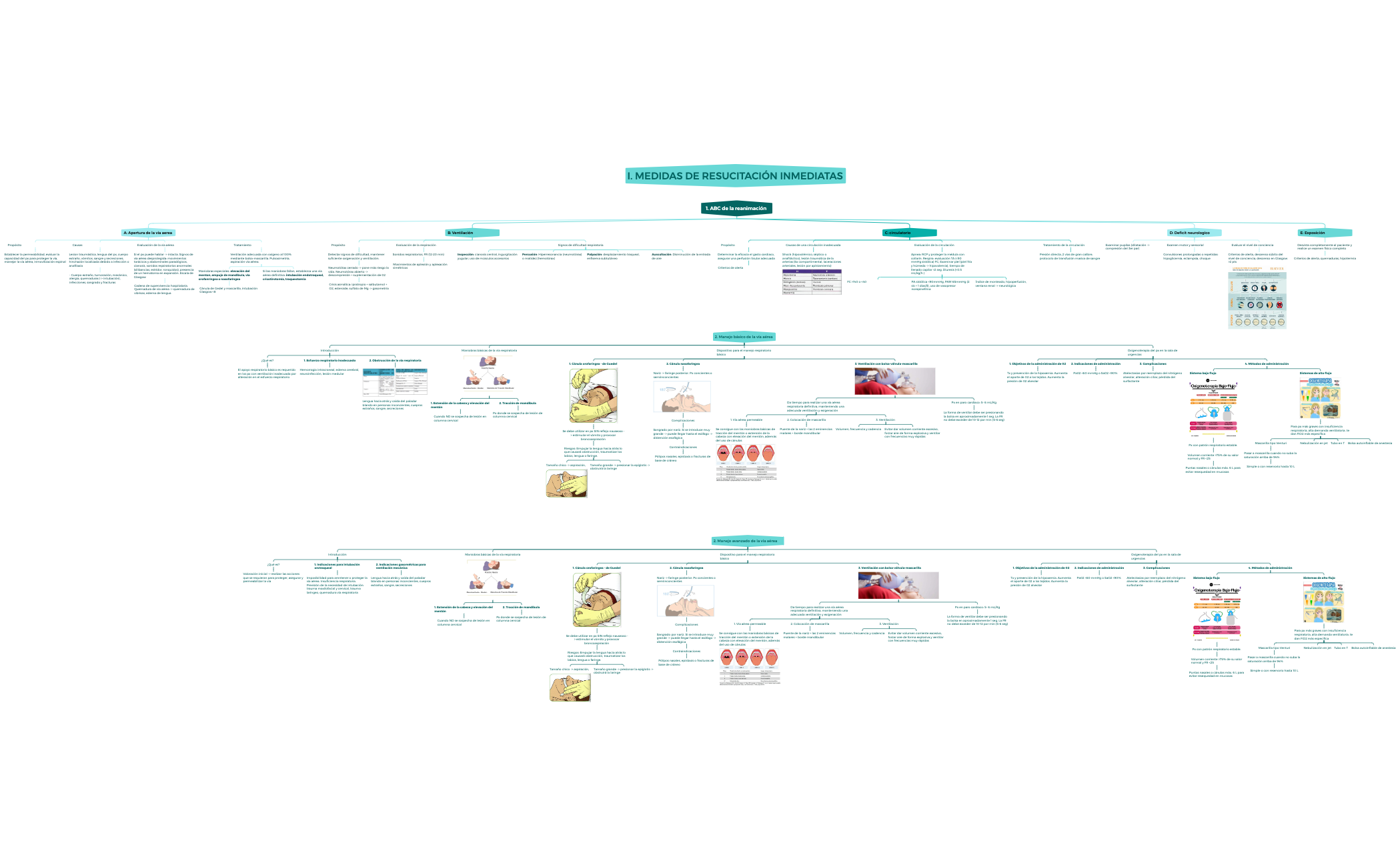 Org Chart - XMind Template