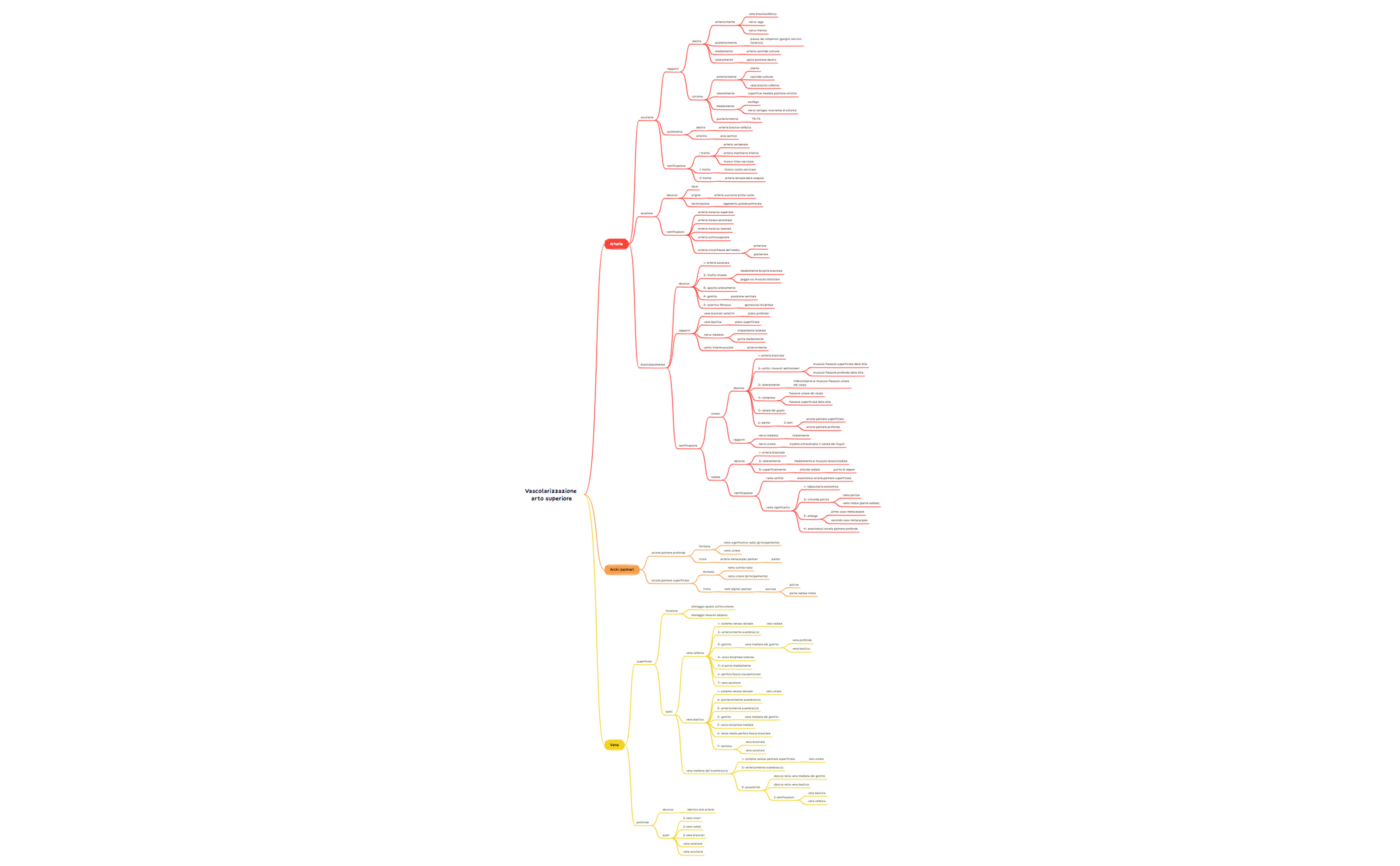 Vascolarizzazione arto superiore preview 1