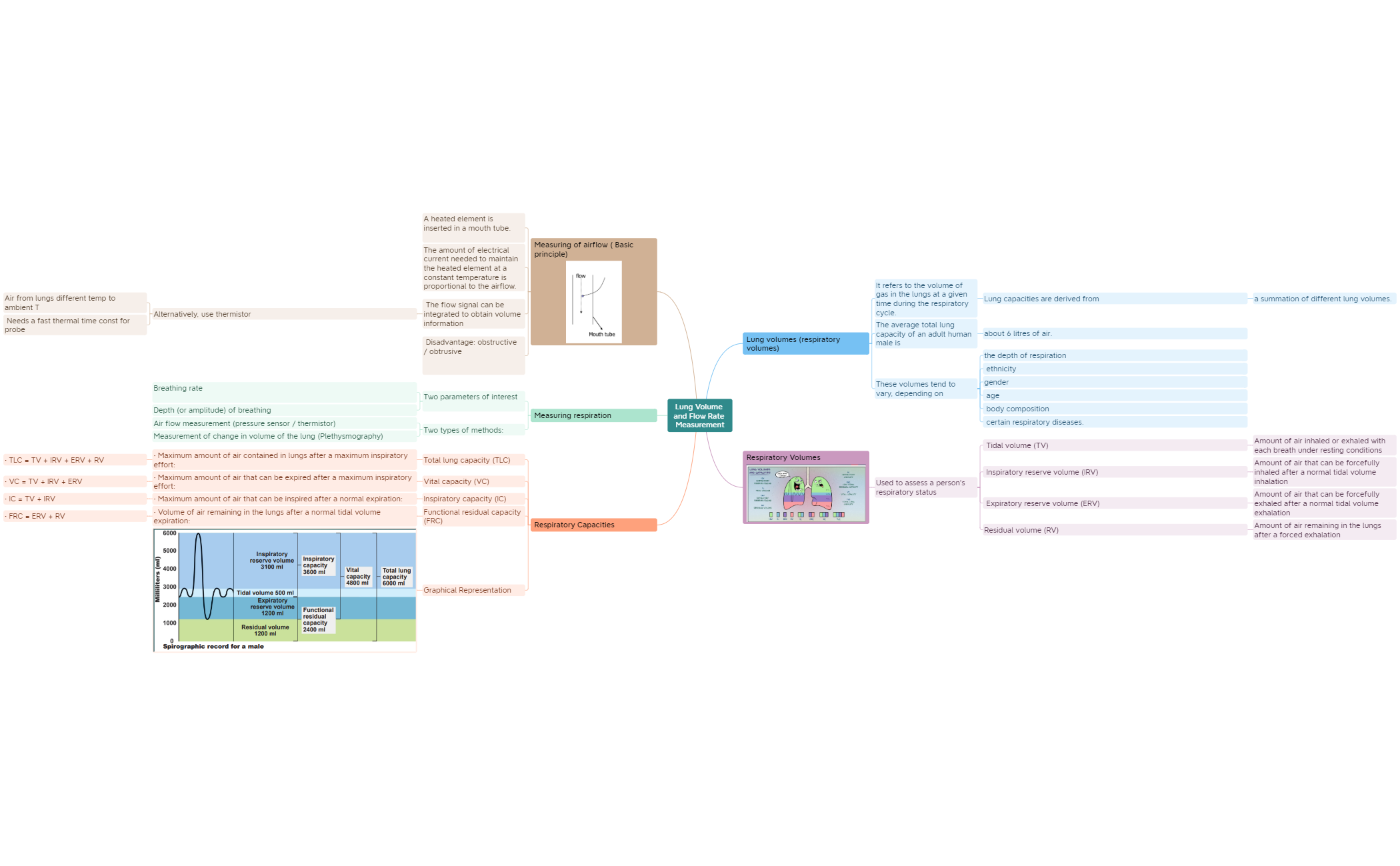 Lung Volume and Flow Rate Measurement preview 1
