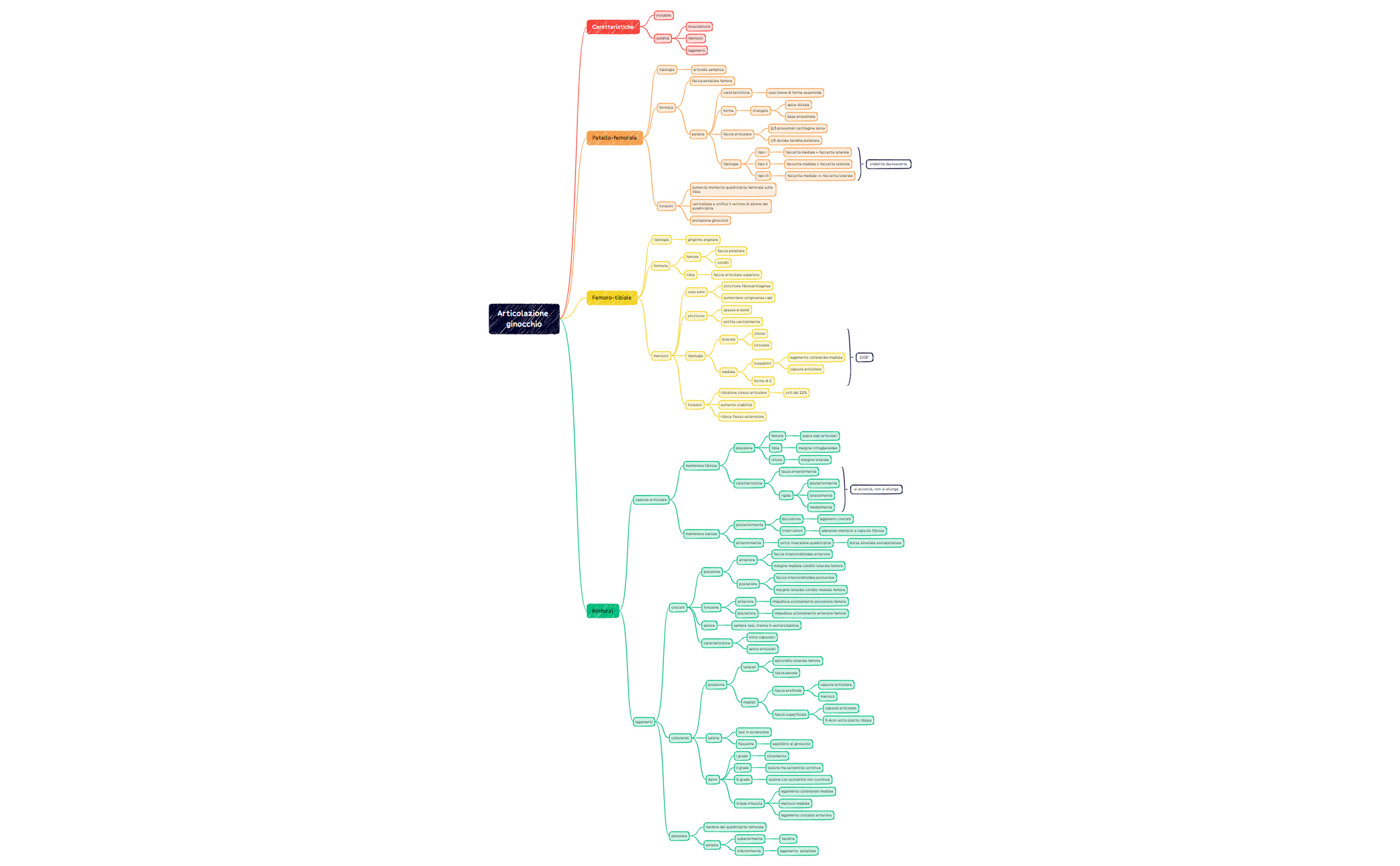 Articolazione ginocchio preview 1