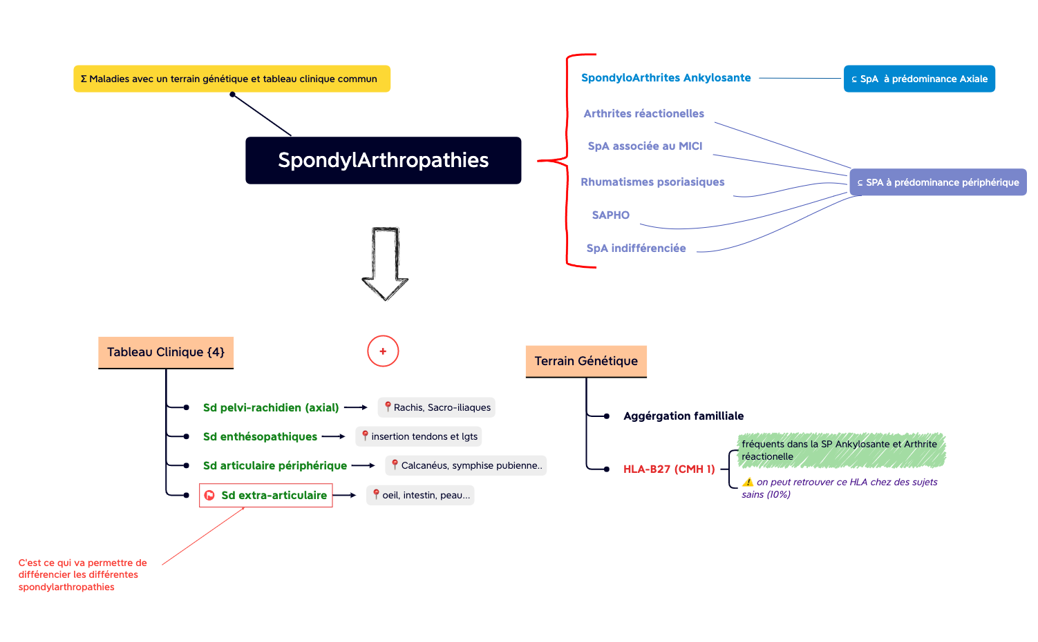SpondylArthropathies preview 1