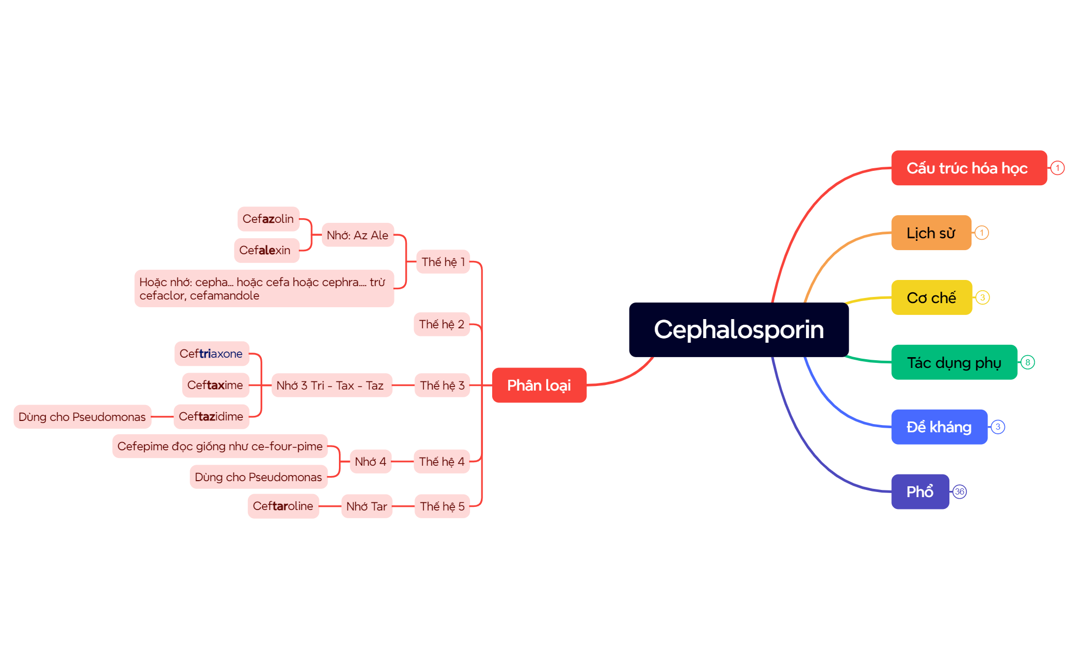 Cephalosporin preview 1