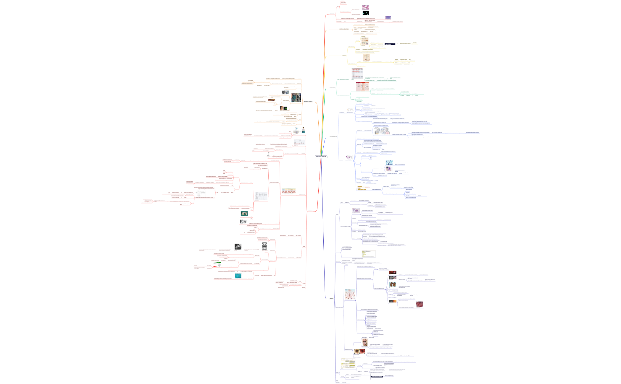 INFEZIONI FUNGINE preview 1