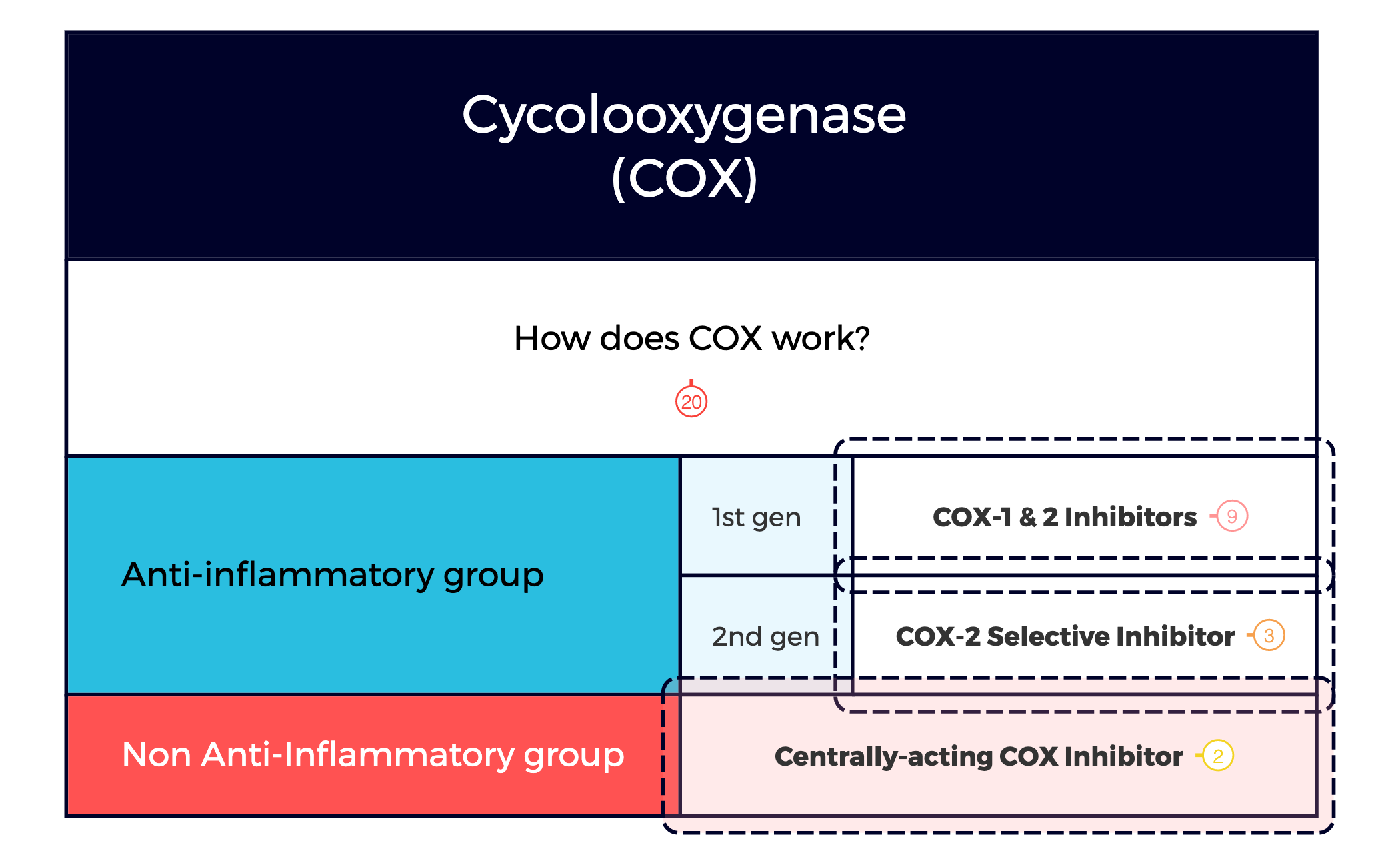 Cycolooxygenase (COX)  preview 1