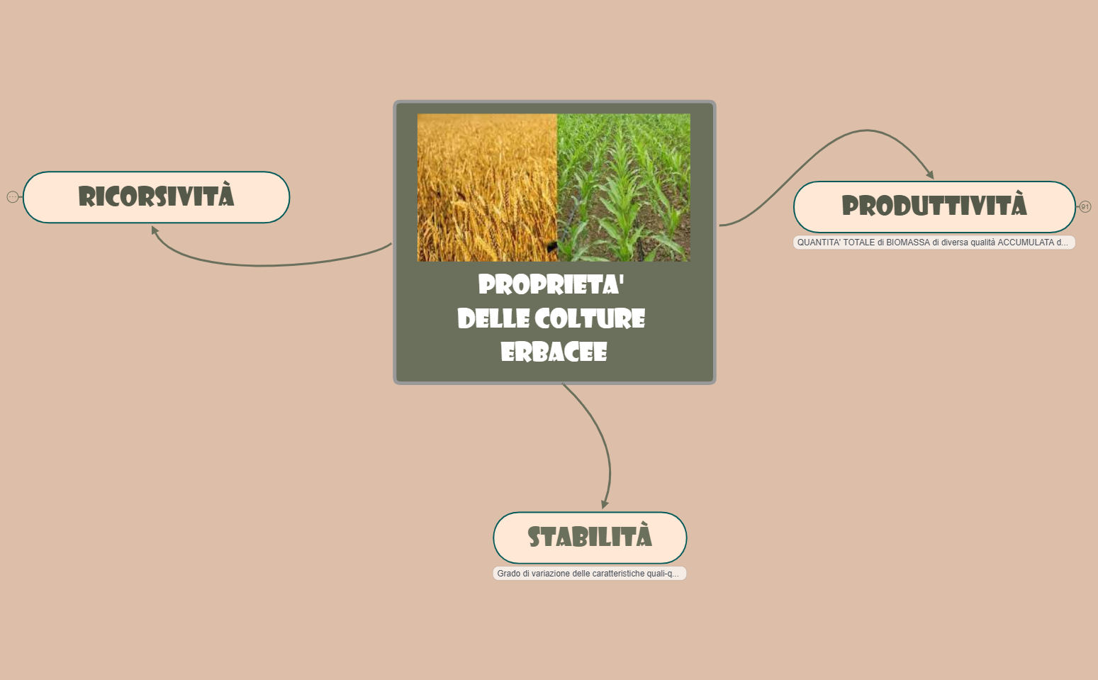 PROPRIETA' delle COLTURE ERBACEE preview 1