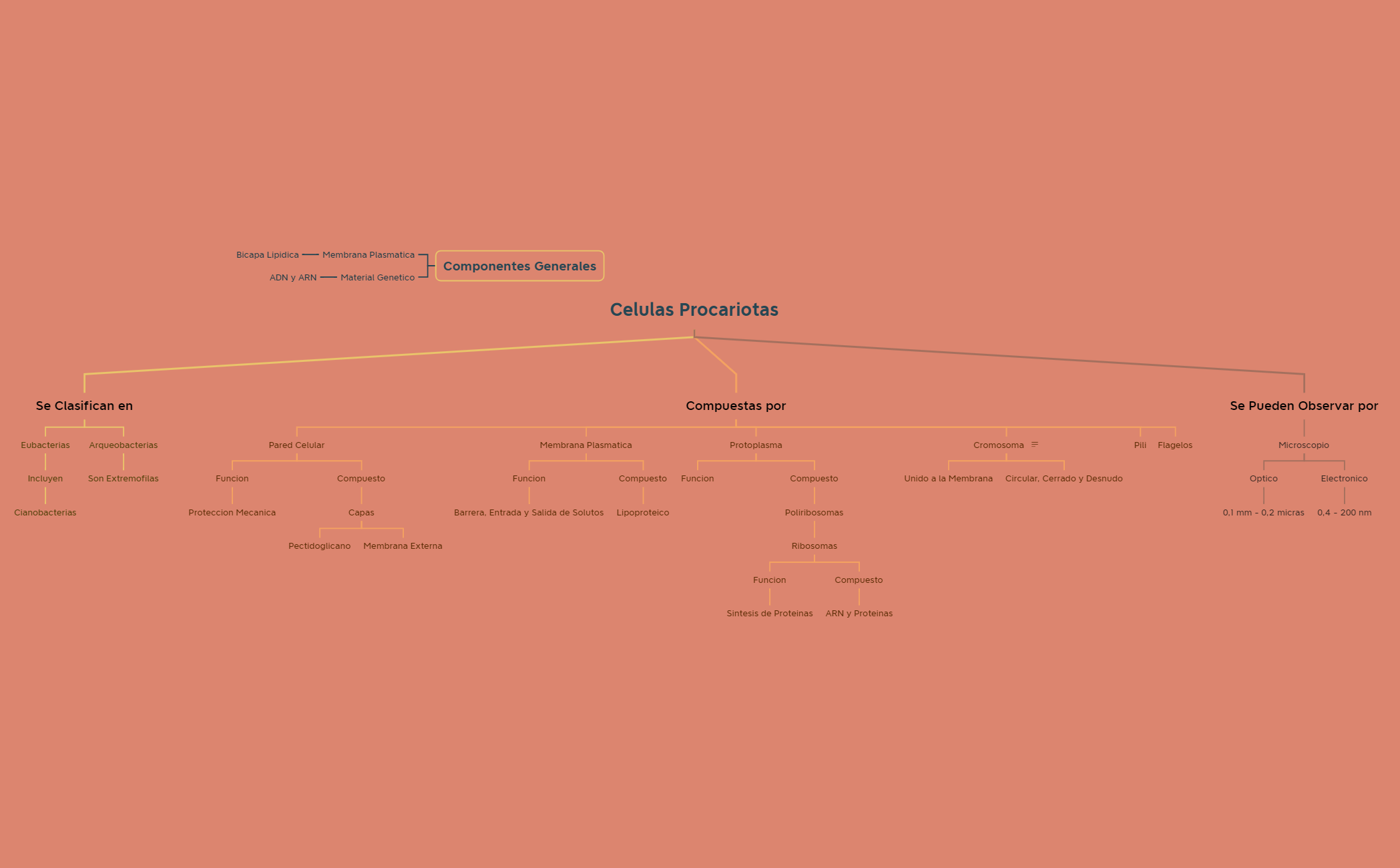 Mapa 1 preview 1