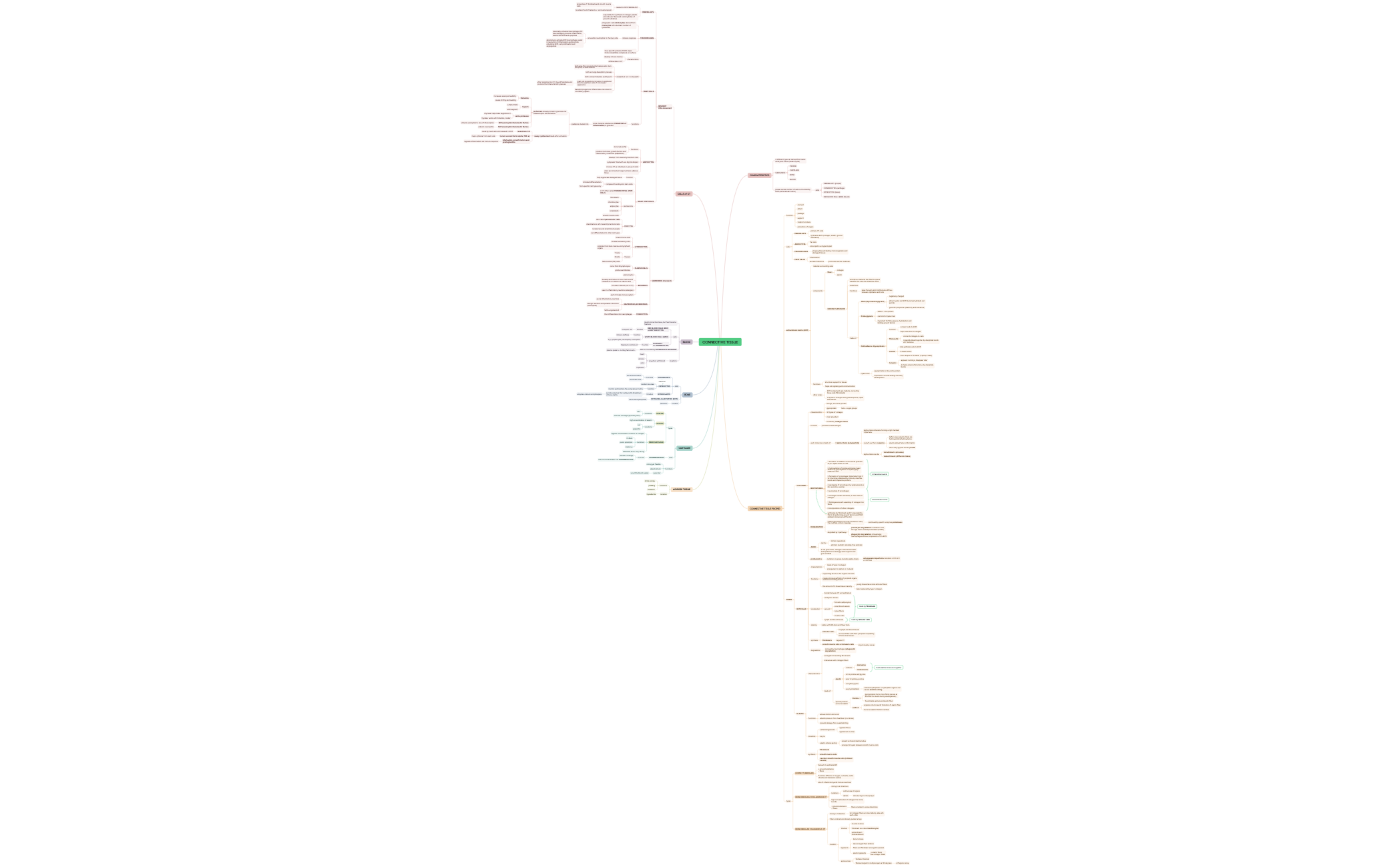 CONNECTIVE TISSUE preview 1