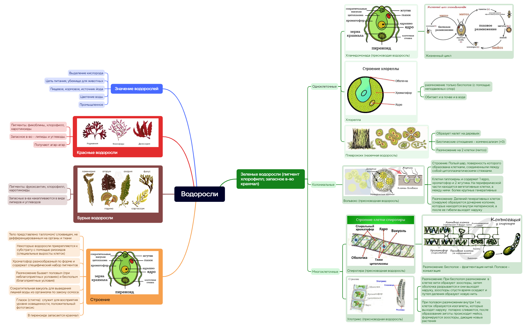 Ментальная карта preview 1