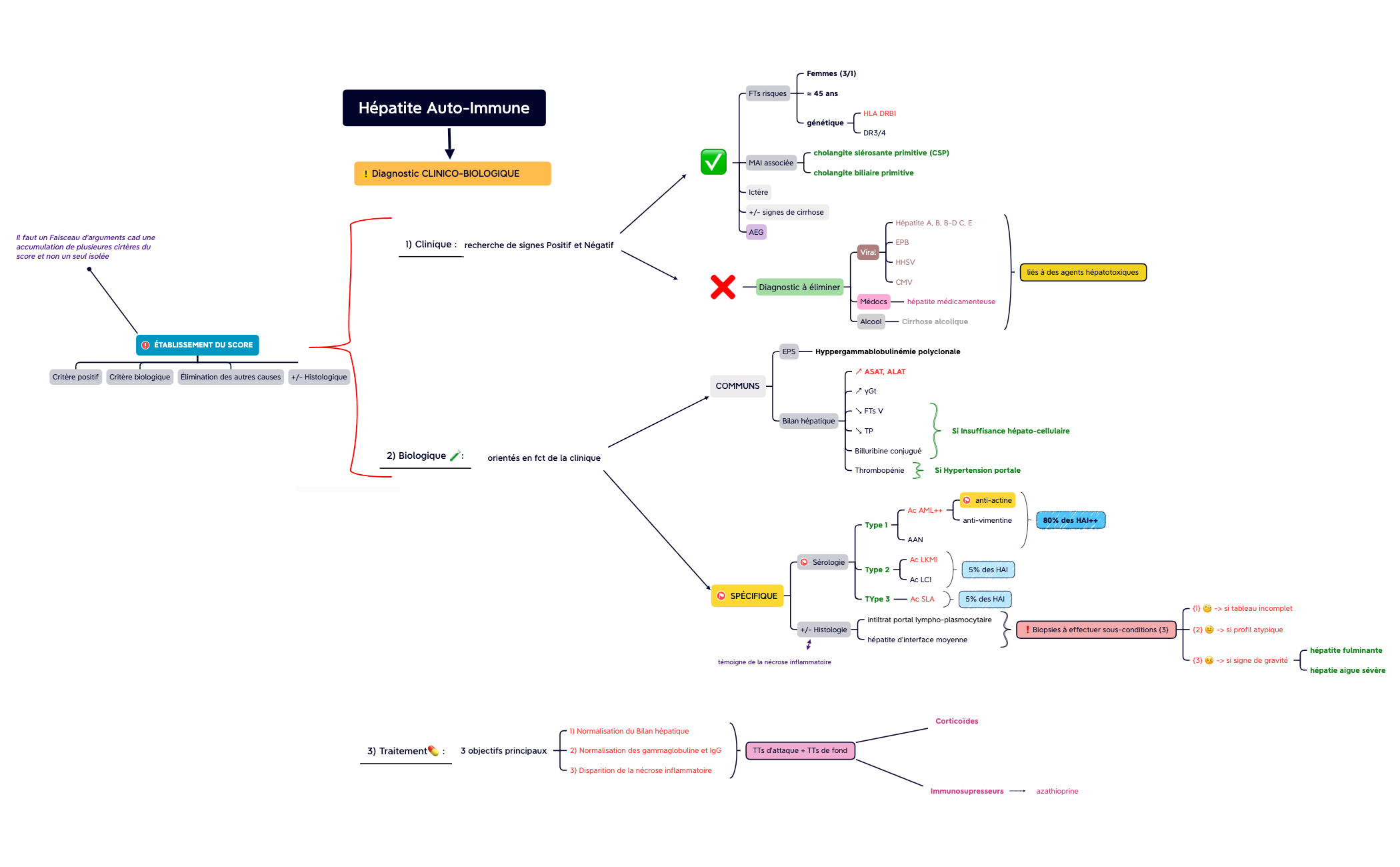 Hépatite Auto-Immune preview 1