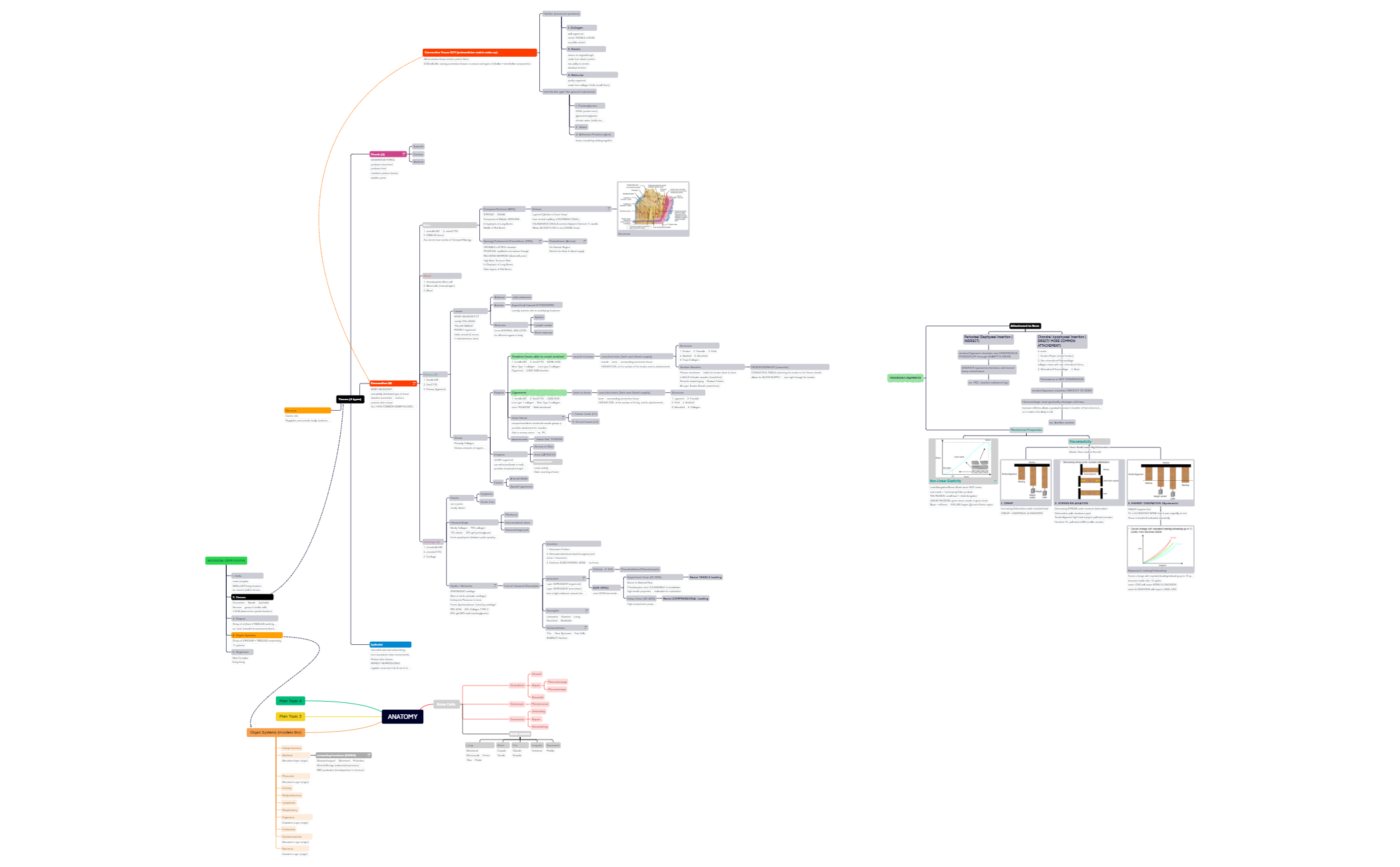 Histology + Anatomy Intro preview 1