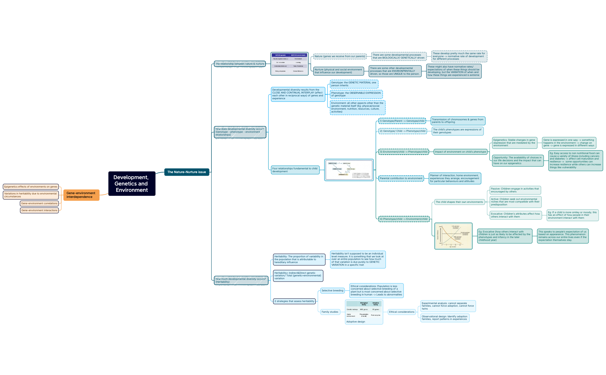 Development, Genetics and Environment - XMind Template