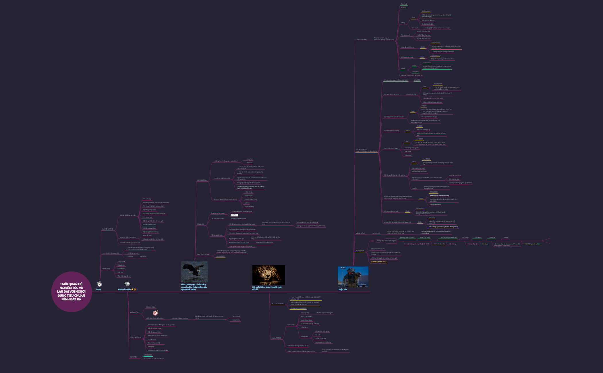 kế hoạch MTYU B preview 1