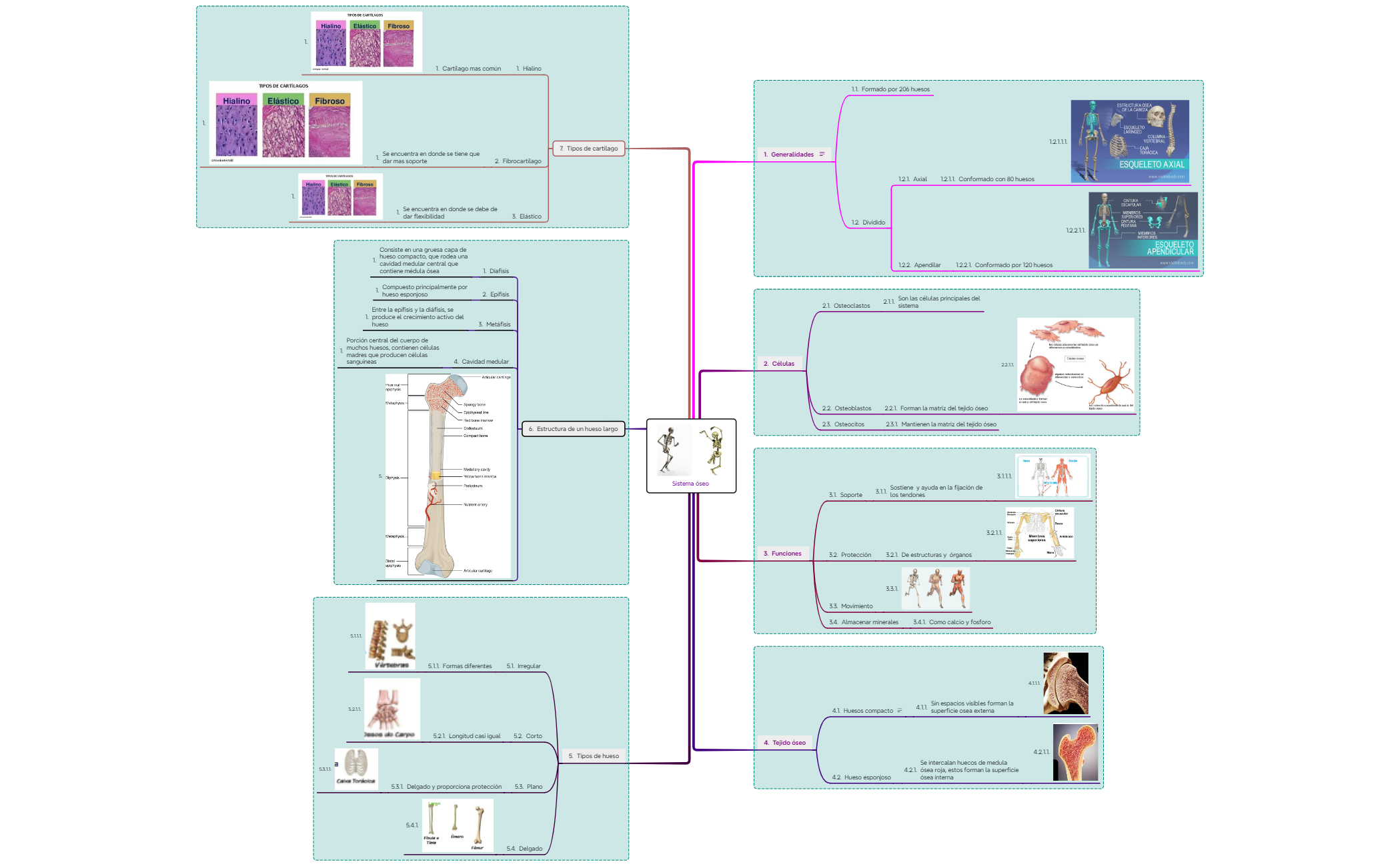 Sheet 1 - XMind Template