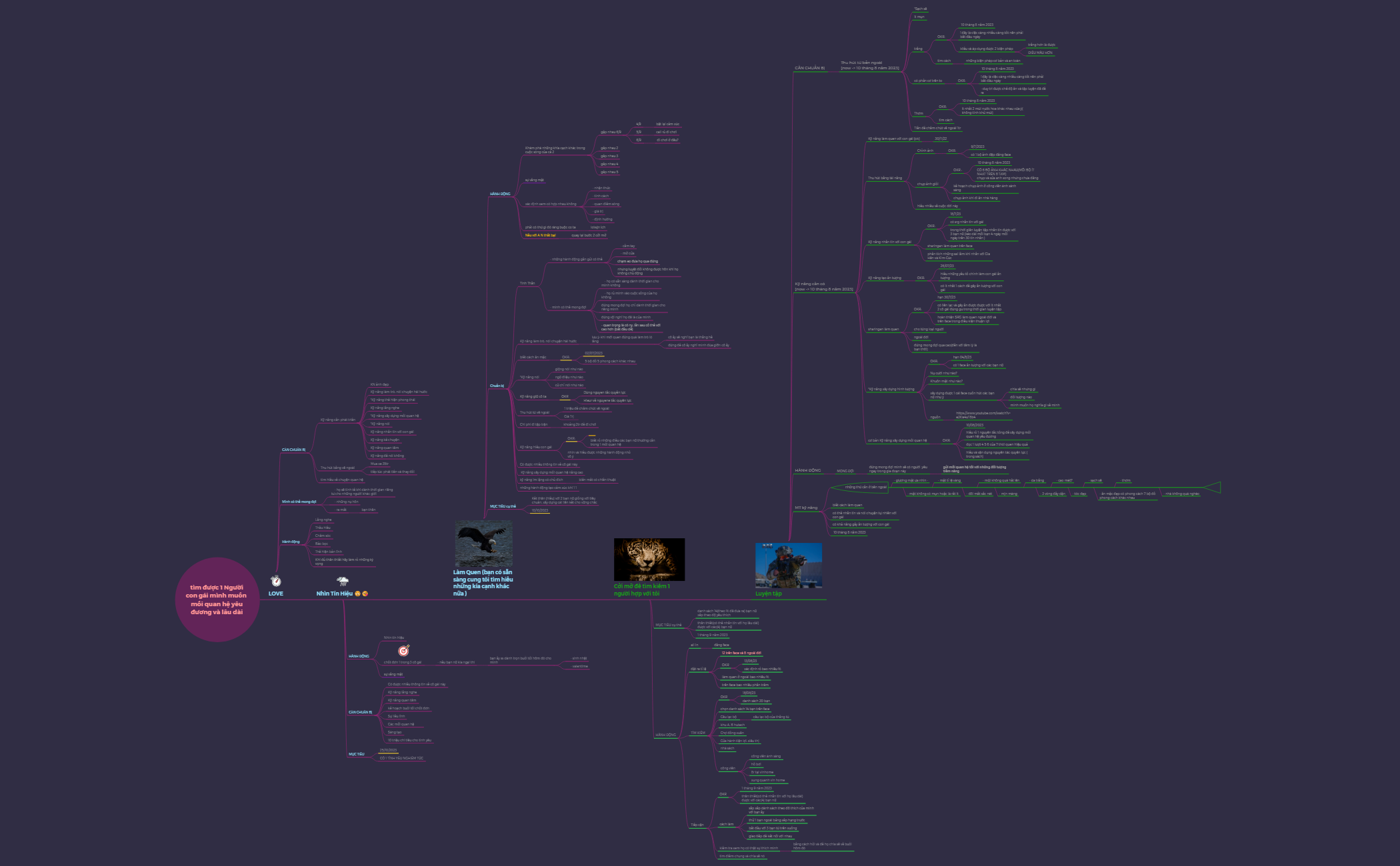 kế hoạch MTYU C preview 1
