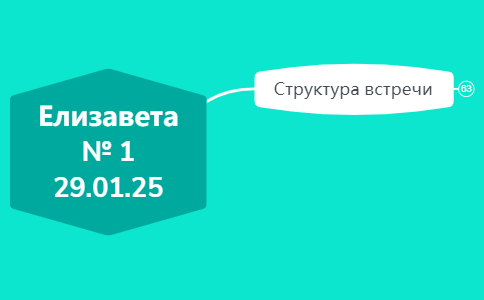 Сессия с коучем Елизавета 1 встреча 29.01 preview 1