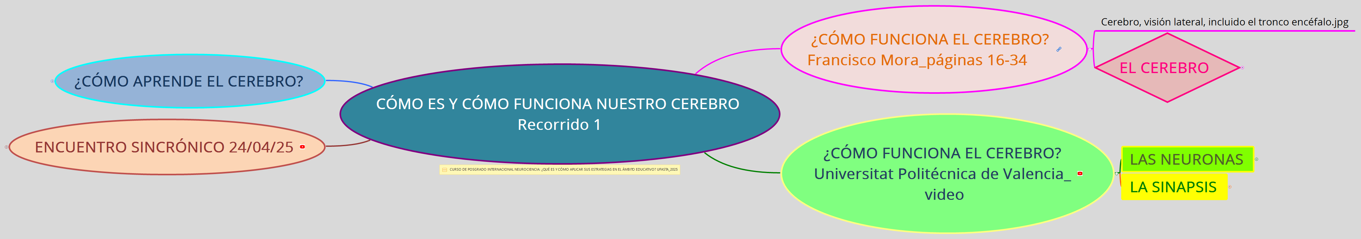 CÓMO ES Y CÓMO FUNCIONA NUESTRO CEREBRO Recorrido 1 preview 1