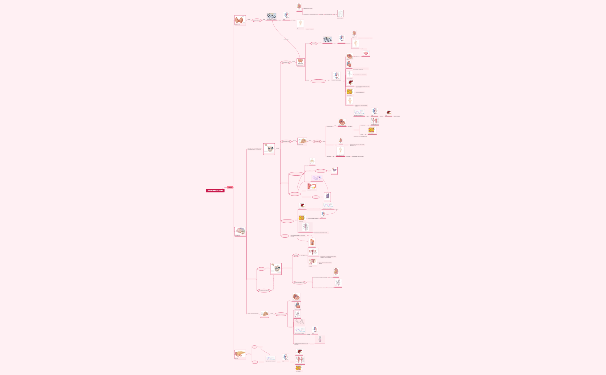 BlankMap - XMind Template