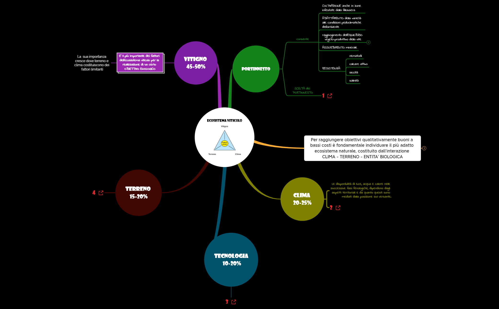 0_Ecosistema viticolo preview 1