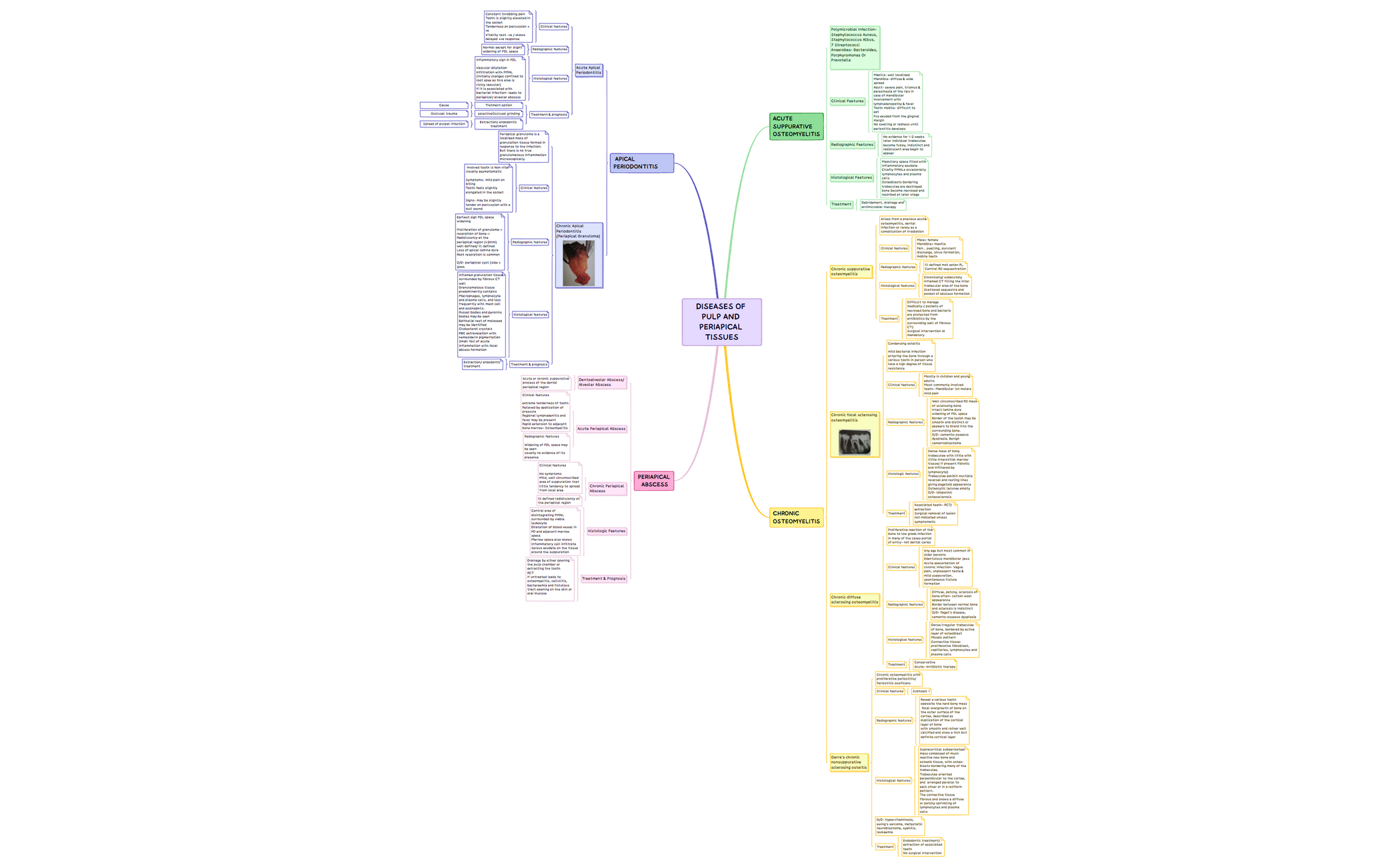 Template Mindmap.xmind.xmind preview 1