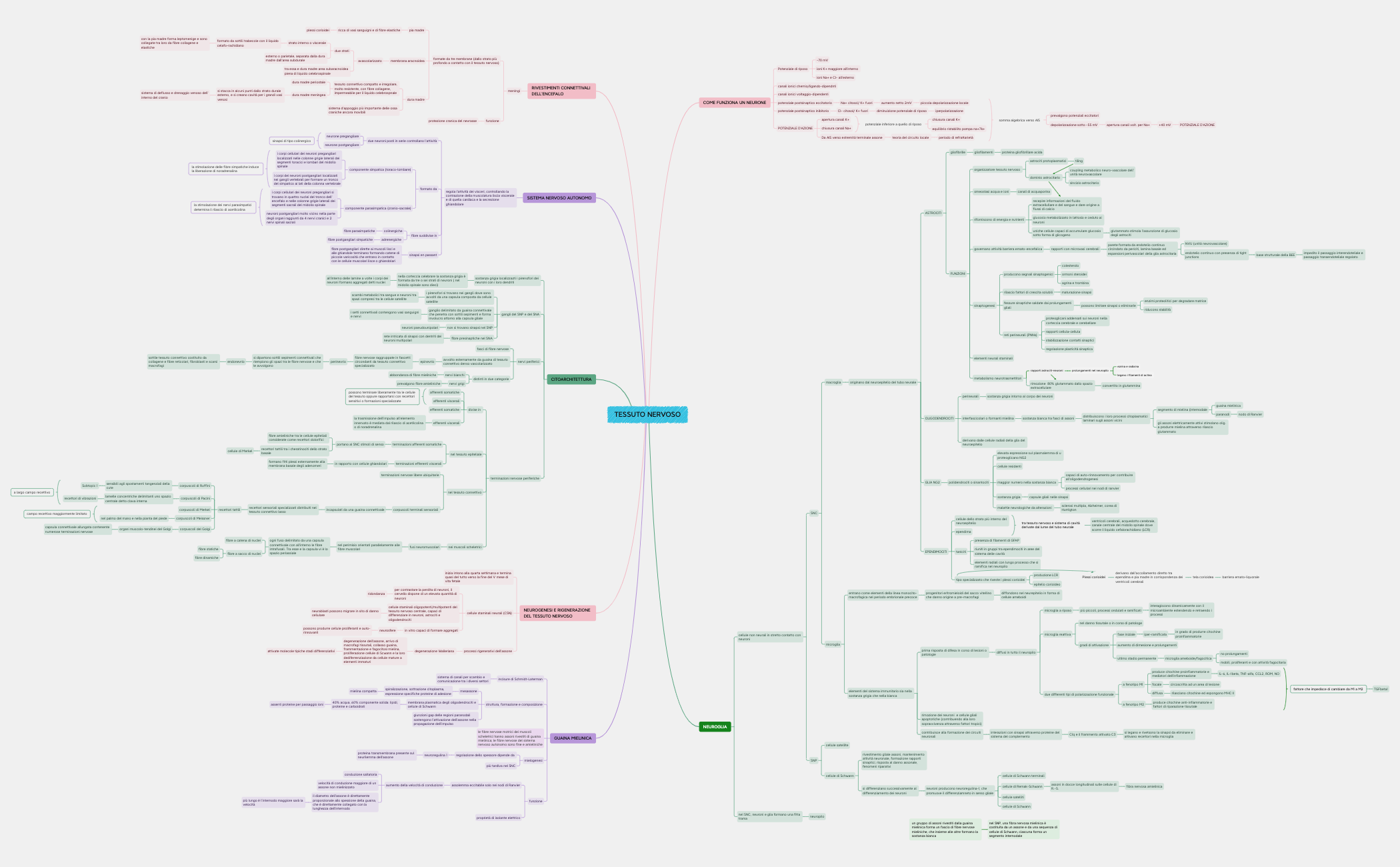 Untitled.xmind preview 1