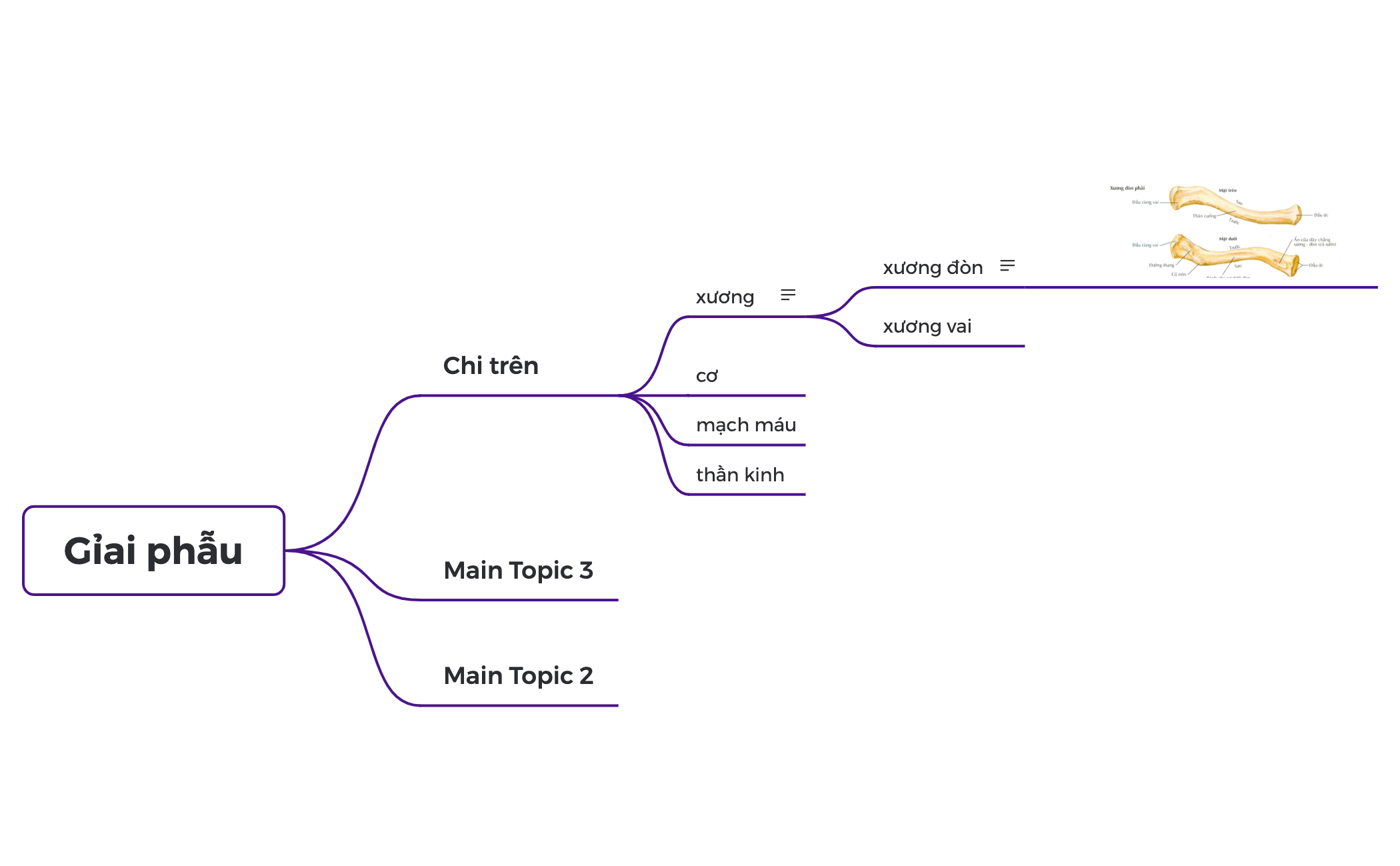 Org Chart preview 1