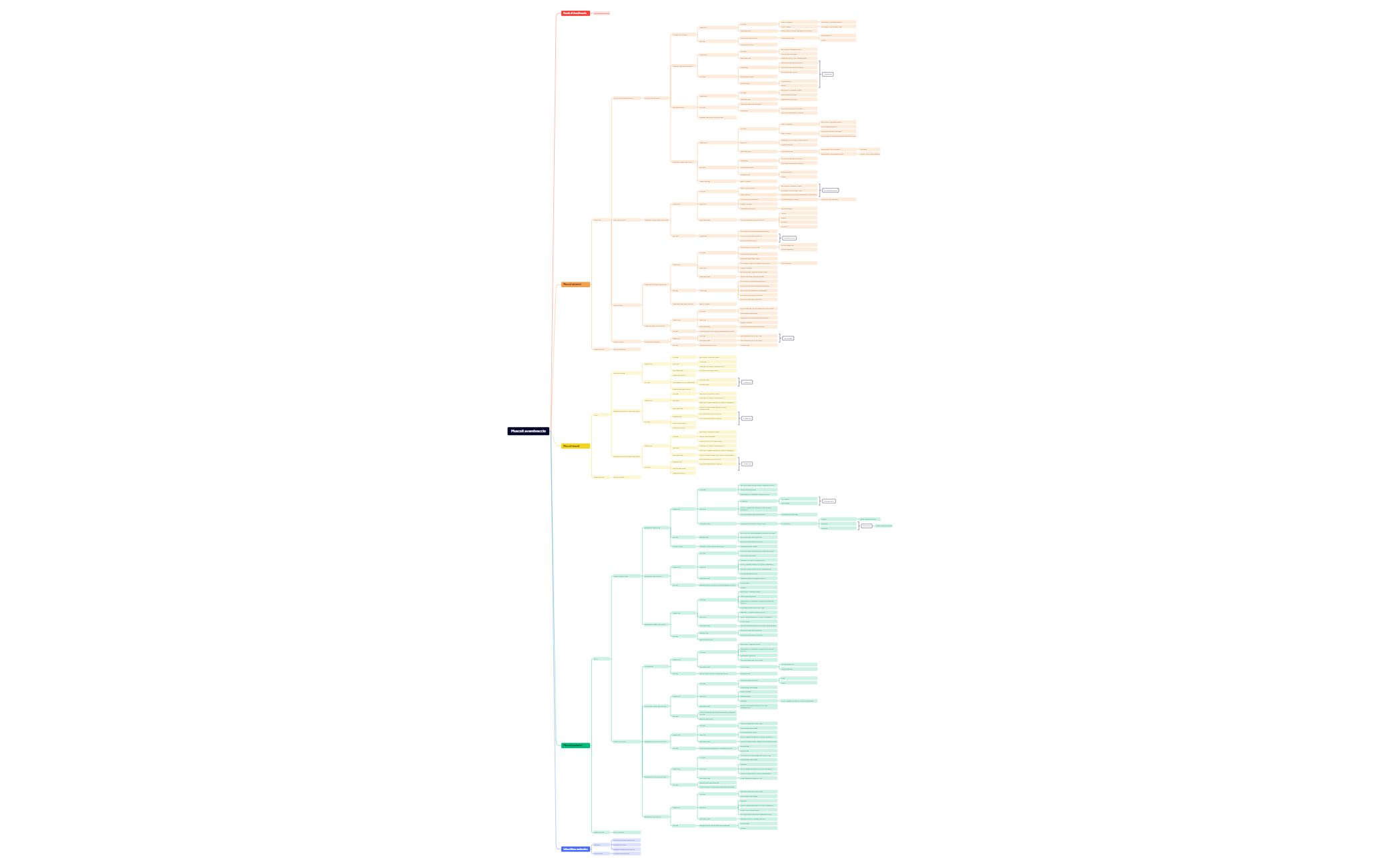 Muscoli avambraccio preview 1
