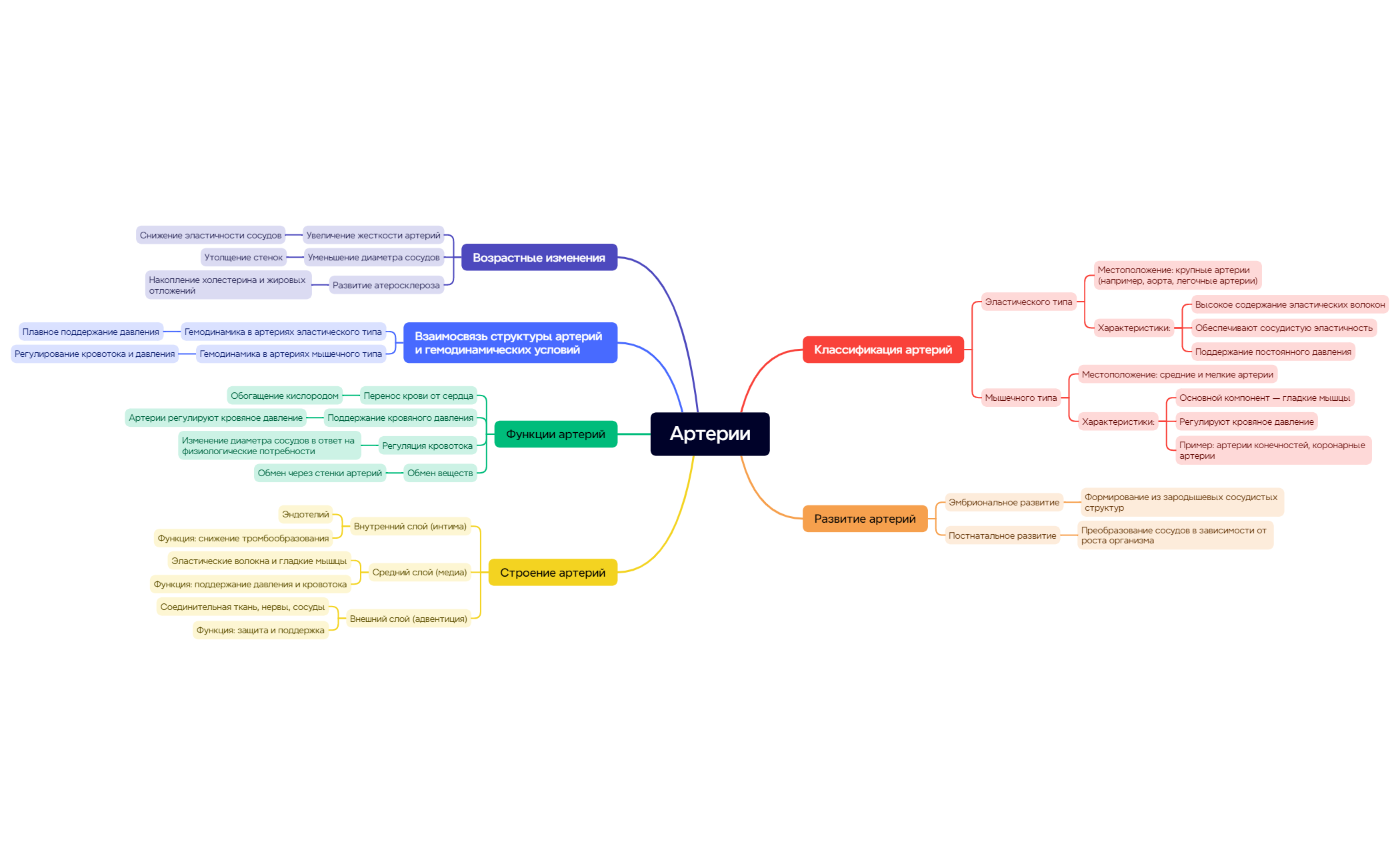 Map - XMind Template