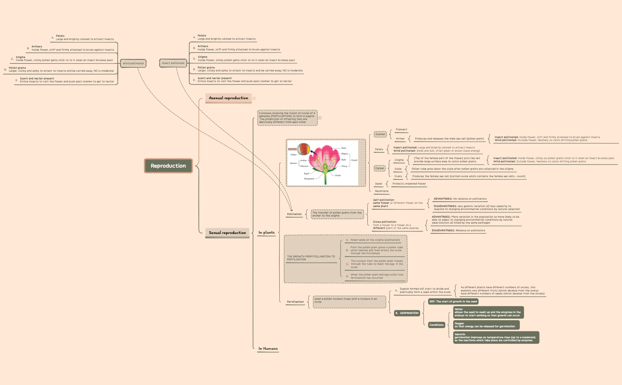 Reproduction preview 1
