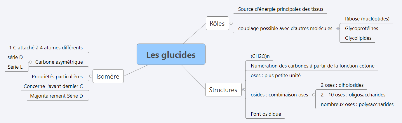 Les glucides preview 1