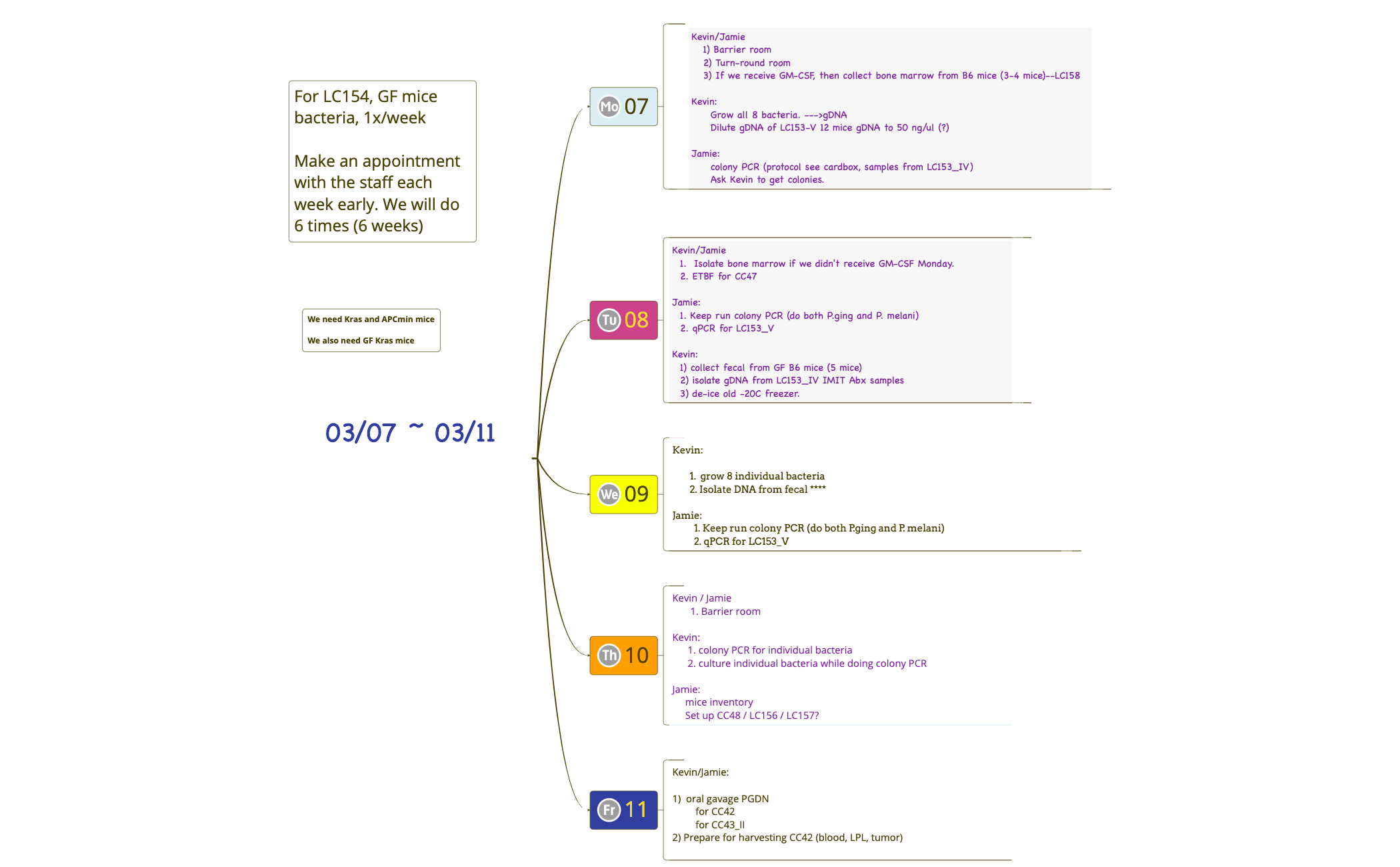Weekly plan 1 - XMind Template