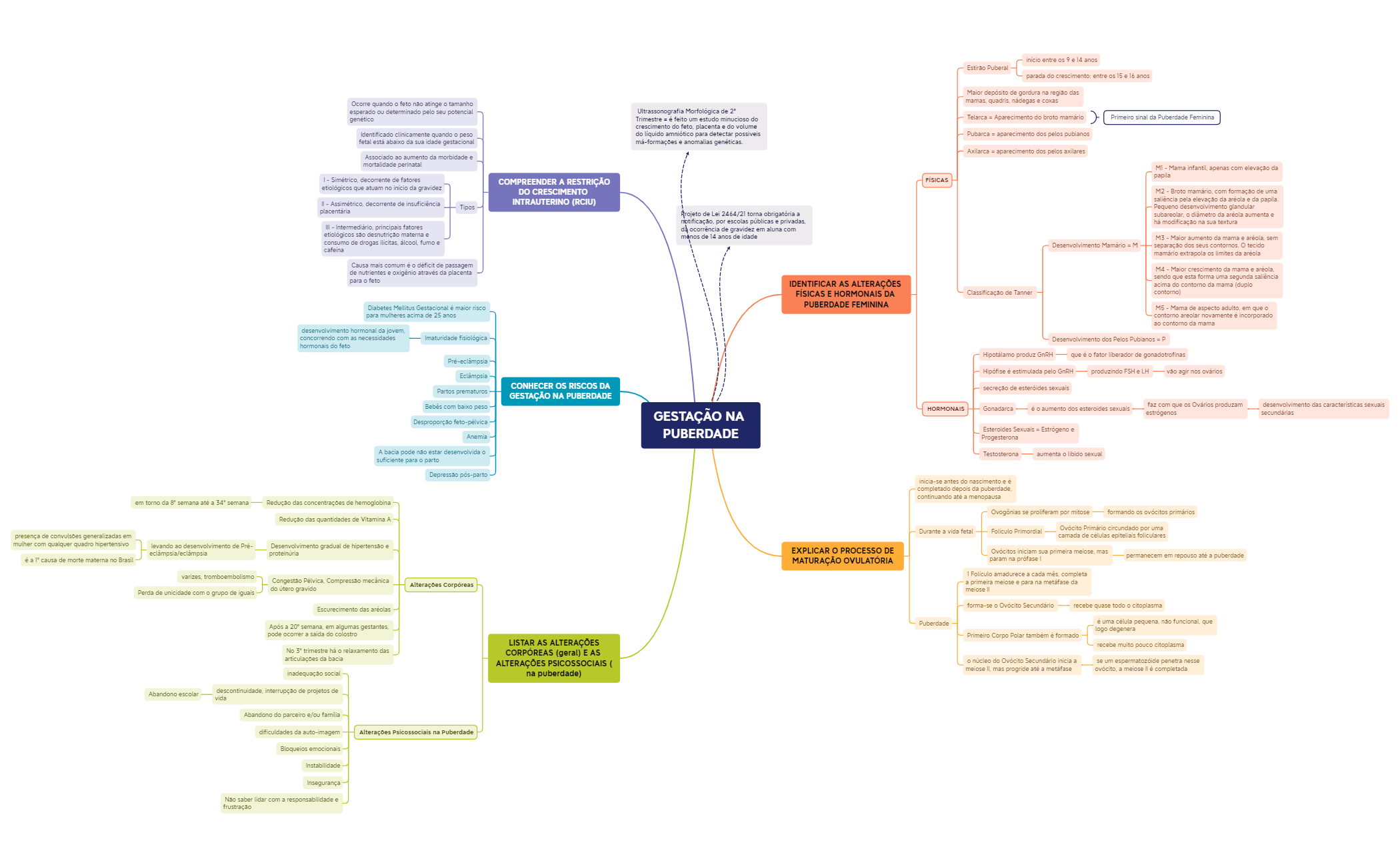 Problema 3 3 - XMind Template