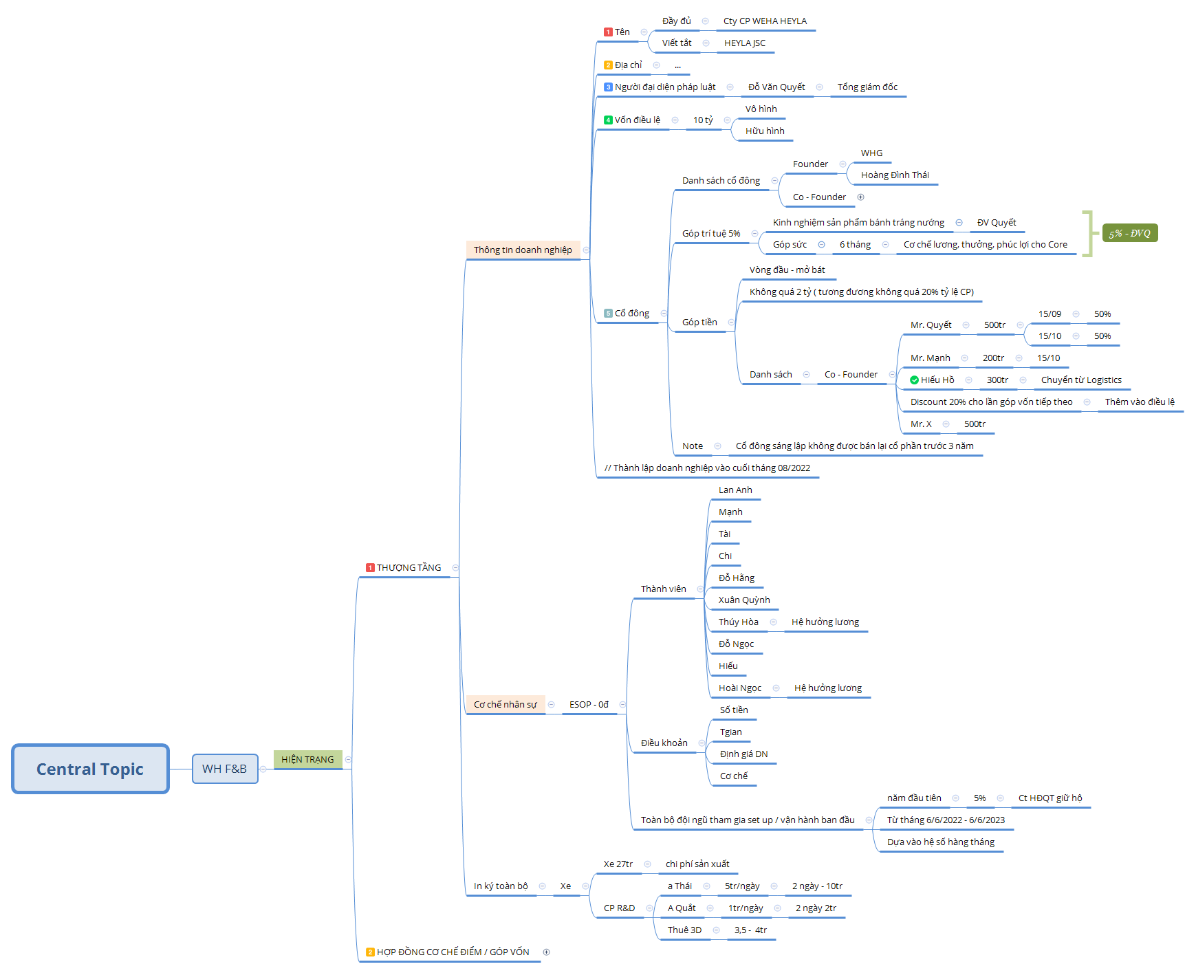 Central Topic - XMind Template