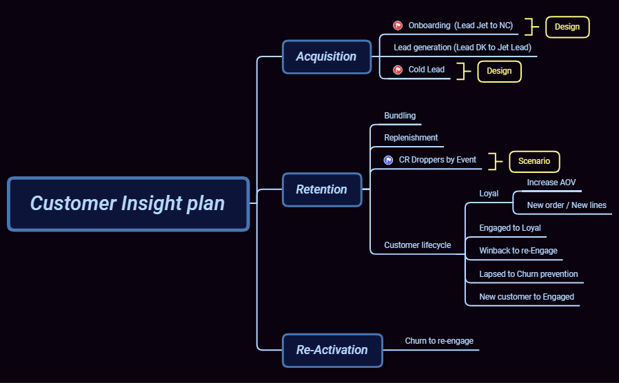 Customer Insight plan - XMind Template