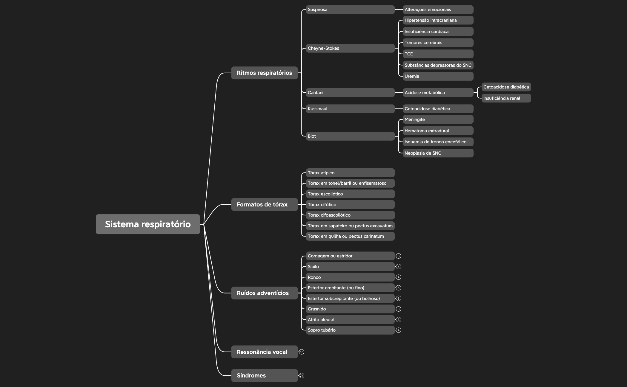 Sistema respiratório preview 1