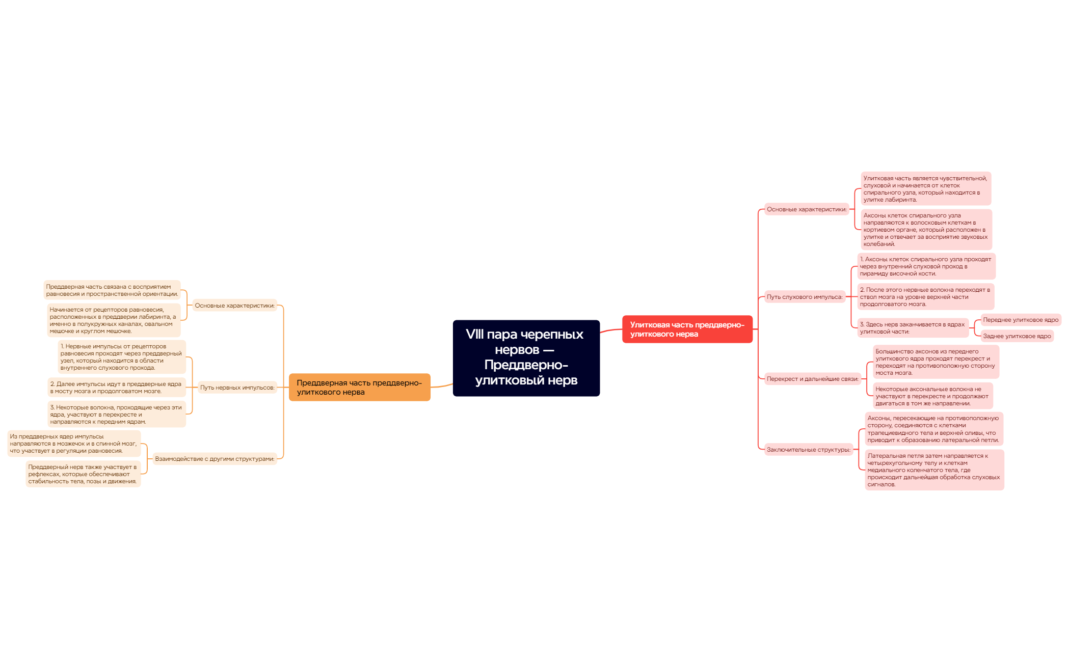 VIII пара черепных нервов — Преддверно-улитковый нерв preview 1