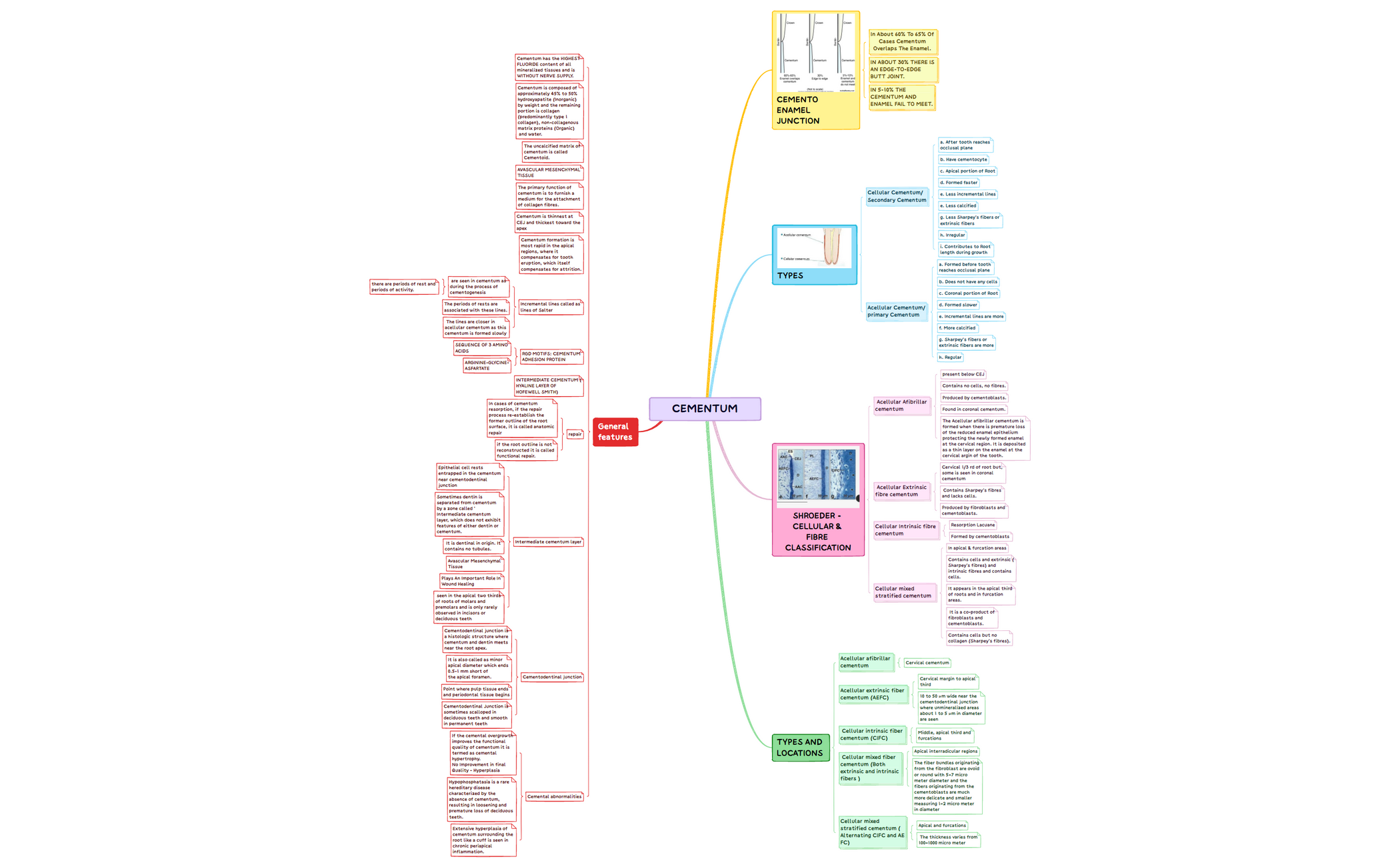 cementum.xmind - XMind Template