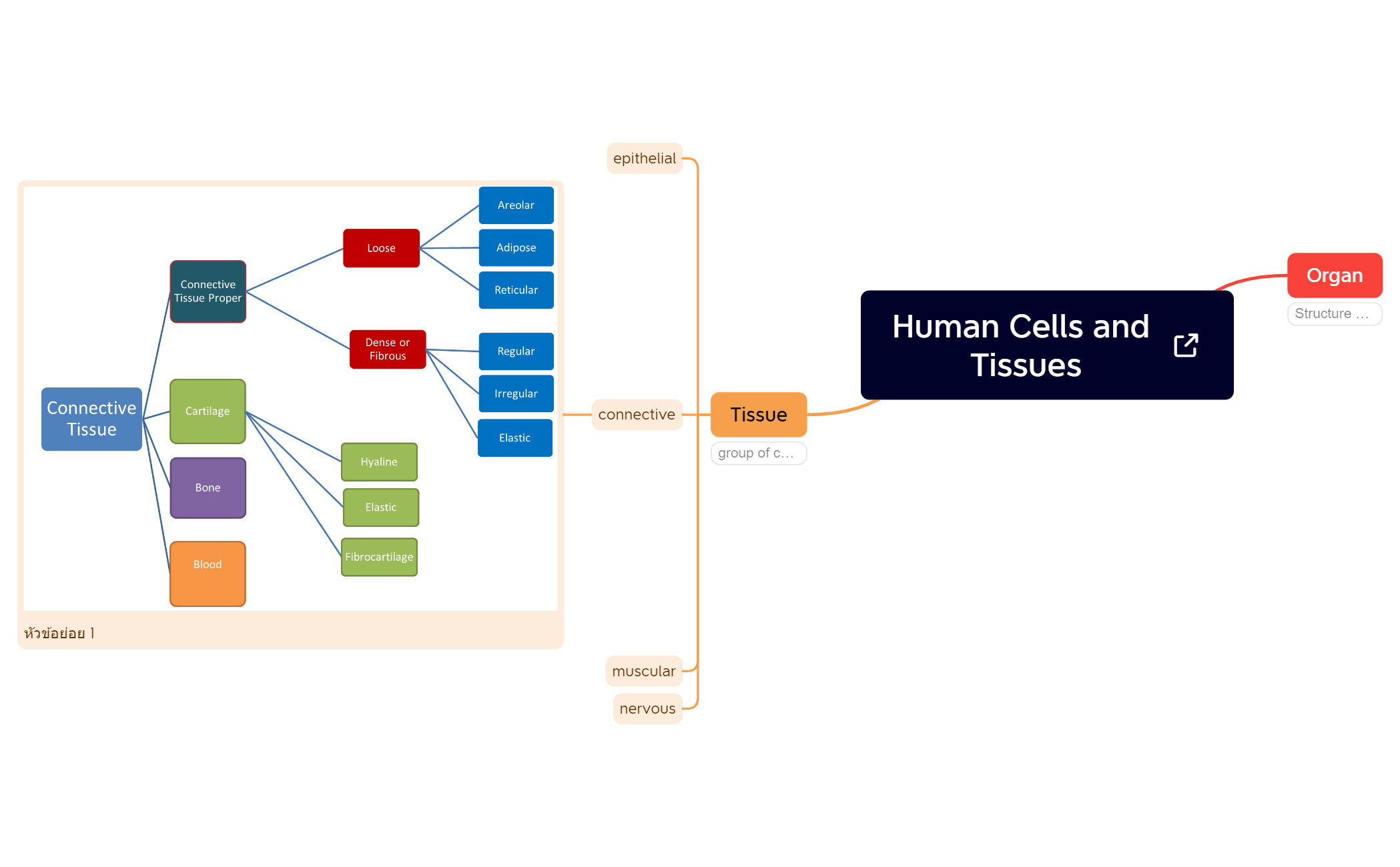 Human Cells and Tissues preview 1