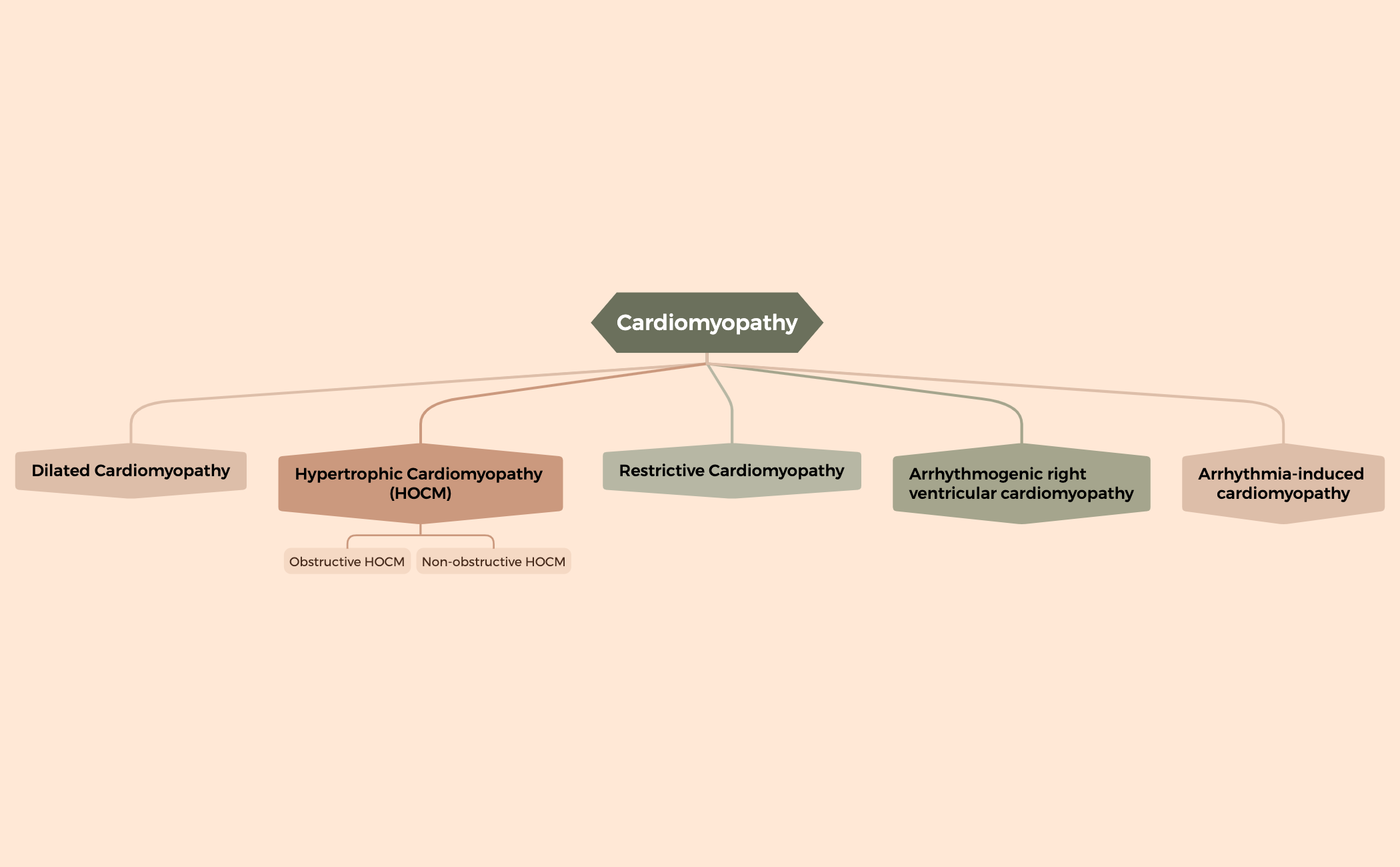 Cardiomyopathy preview 1