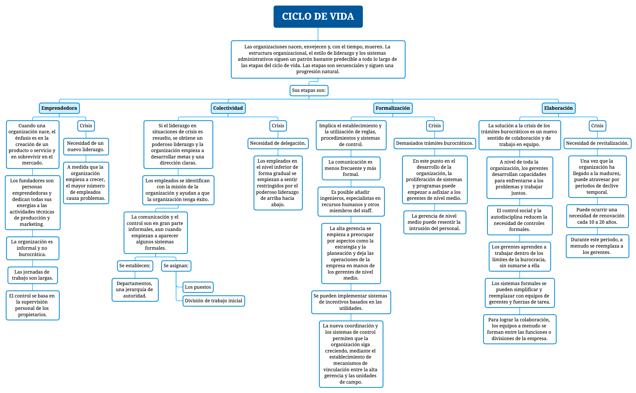 CICLO DE VIDA preview 1
