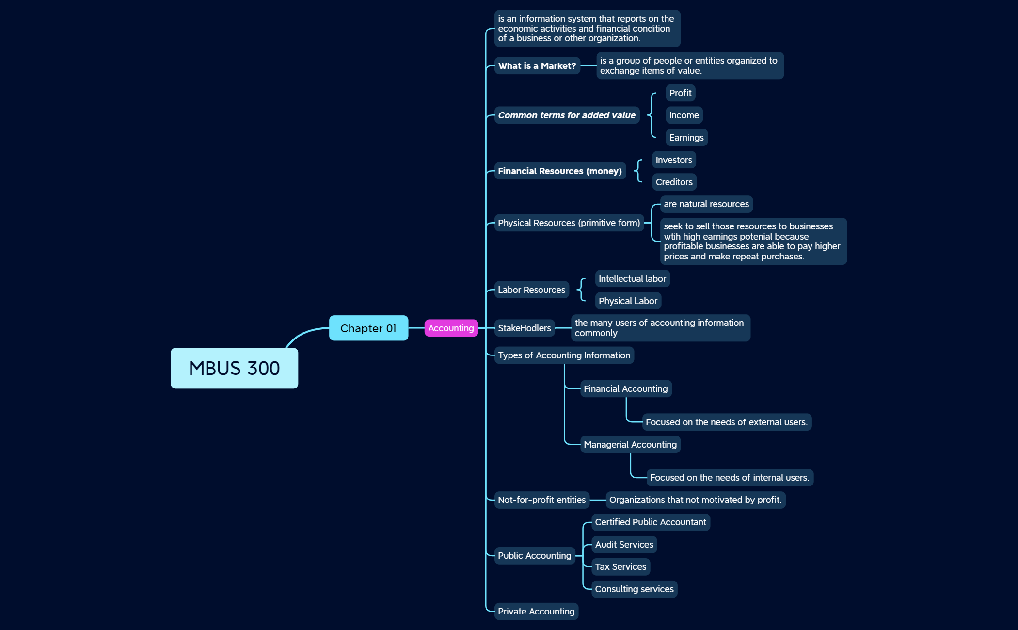 MBUS 300 preview 1