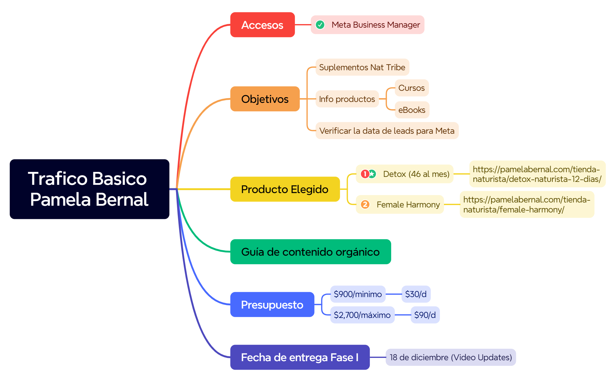 Trafico Basico Pamela Bernal preview 1