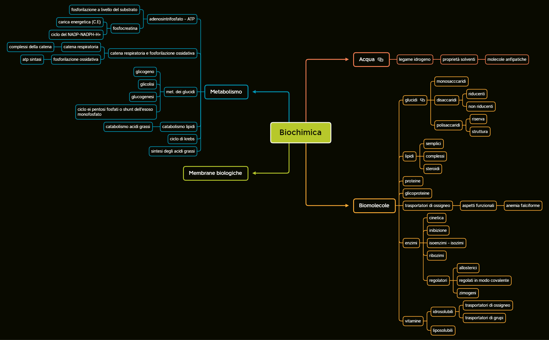 Biochimica.xmind preview 1