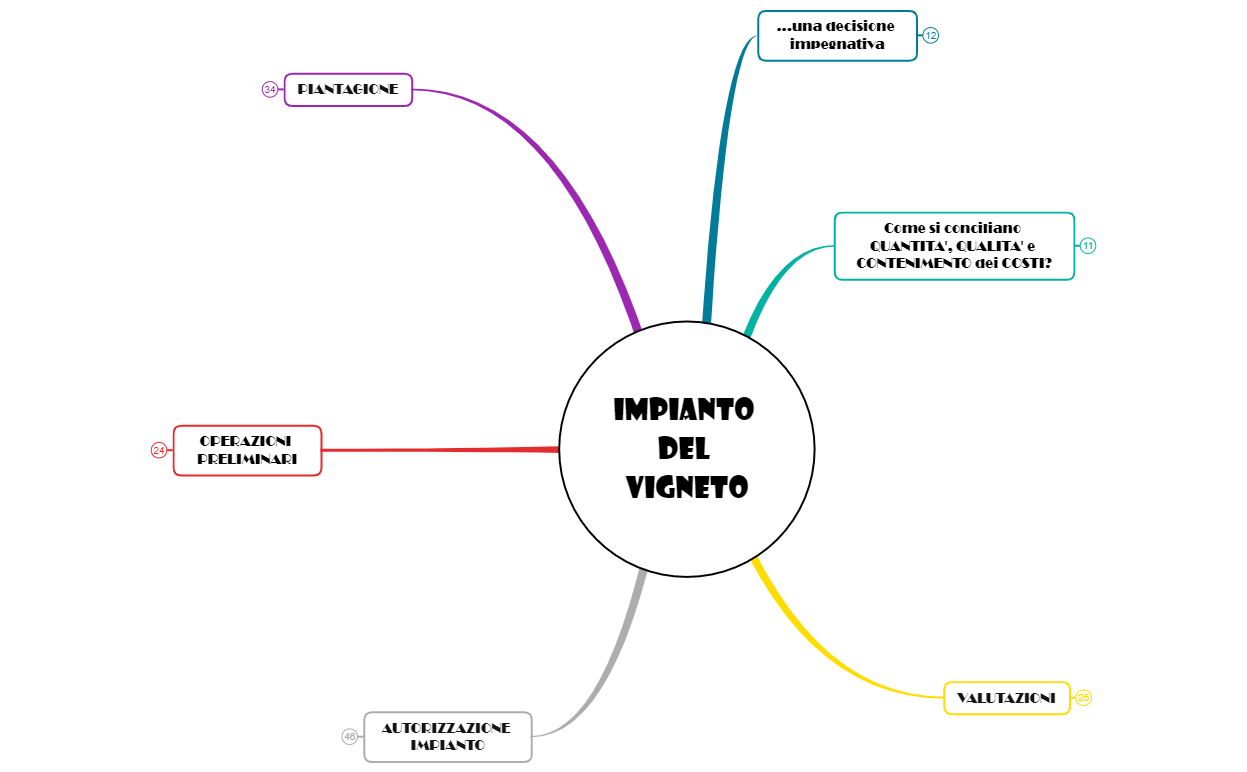 0_IMPIANTO DEL VIGNETO preview 1