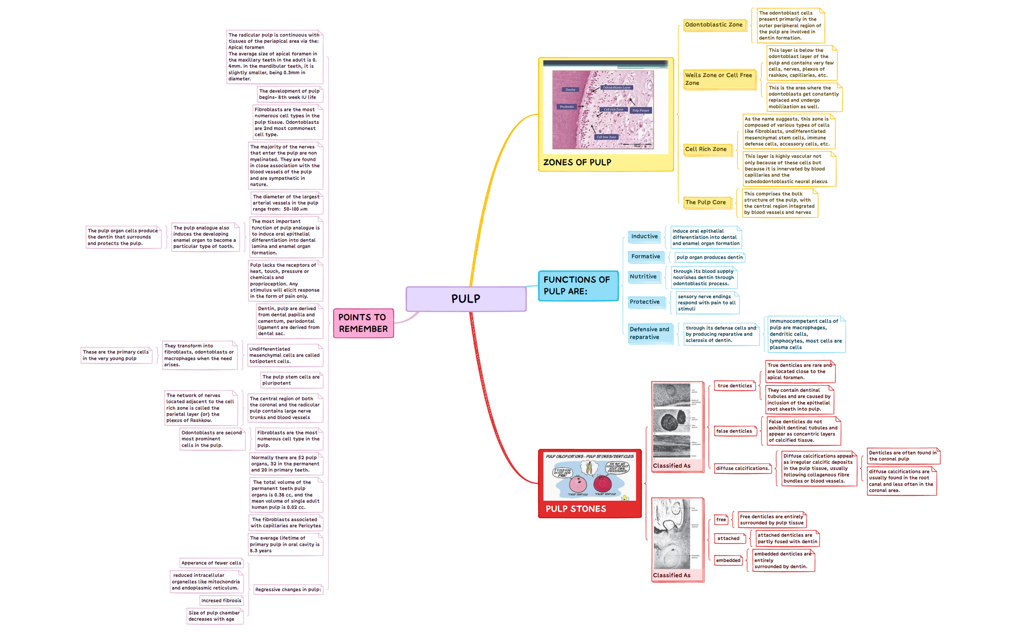 pulp.xmind preview 1