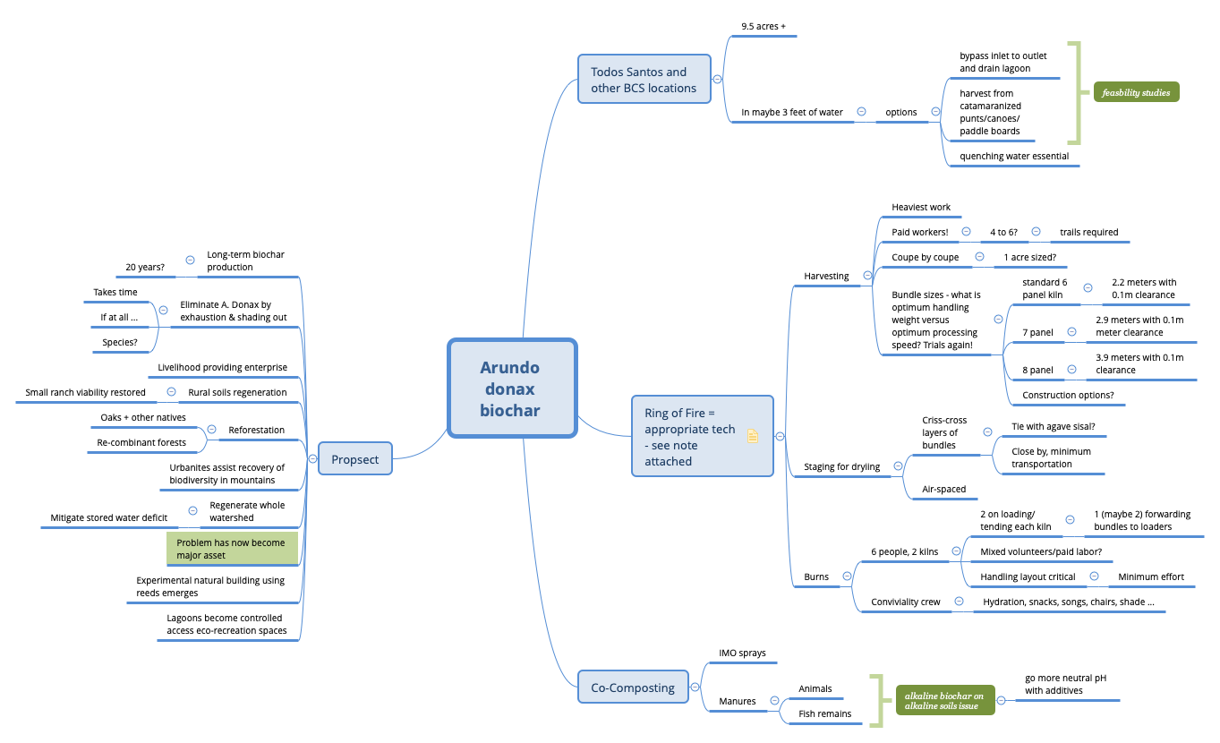 Arundo donax biochar preview 1