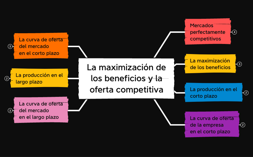 La maximización de los beneficios y la oferta competitiva preview 1