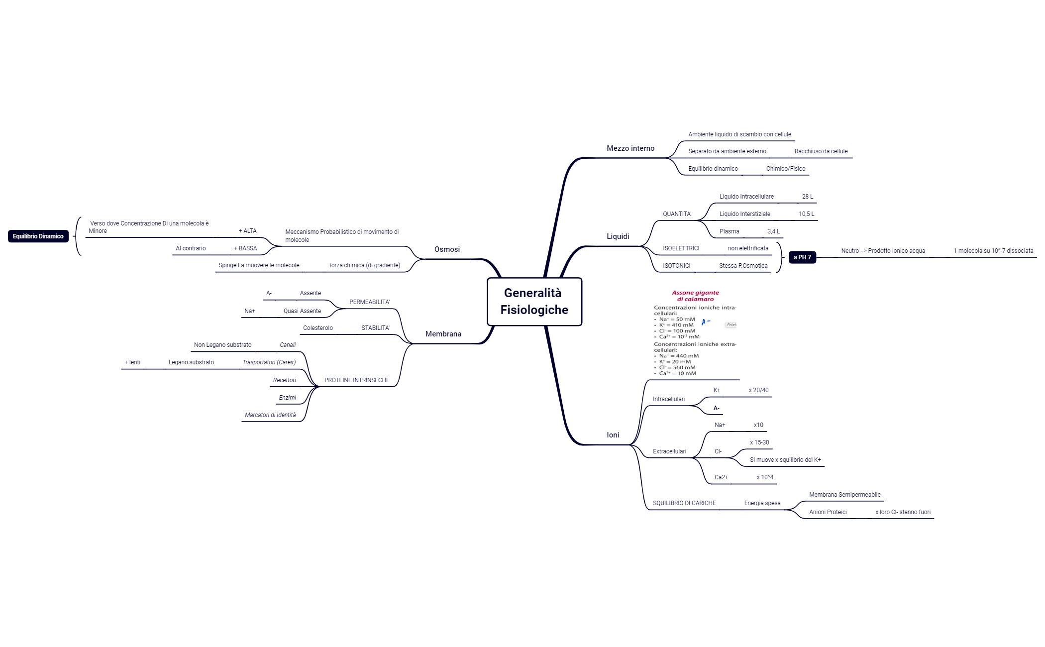1. Generalità Fisiologiche.xmind preview 1