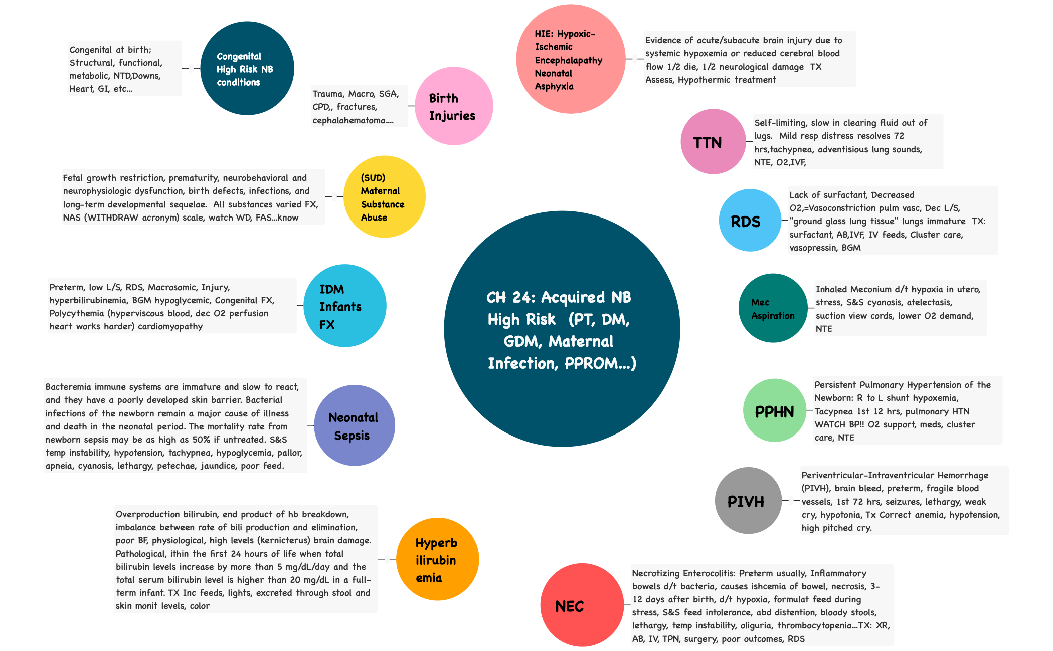 CH 24 Acquired NB High Risk  (PT, DM, GDM, Maternal Infection, PPROM...) preview 1