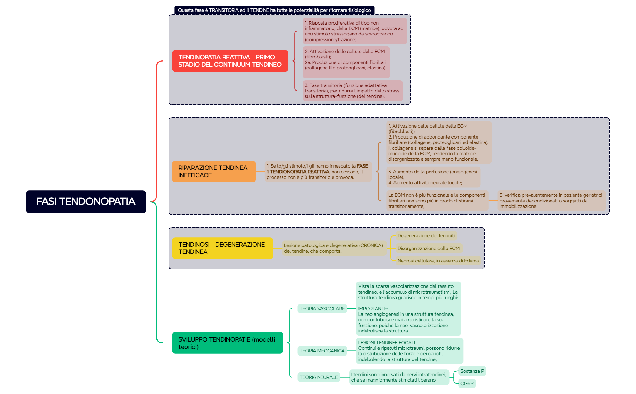 FASI TENDONOPATIA preview 1
